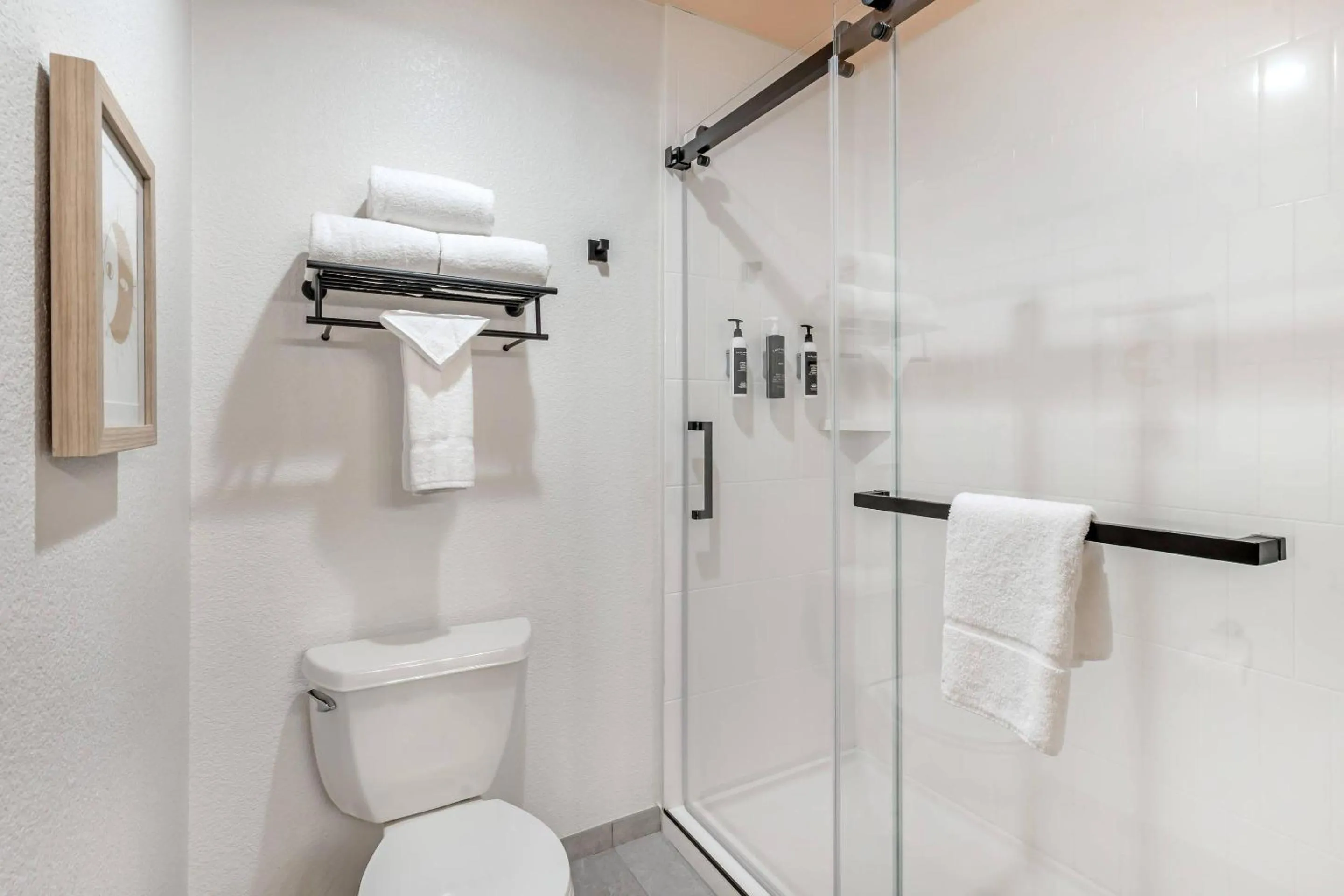 Bedroom in The Sandman Santa Rosa Sonoma, an Ascend Collection Hotel