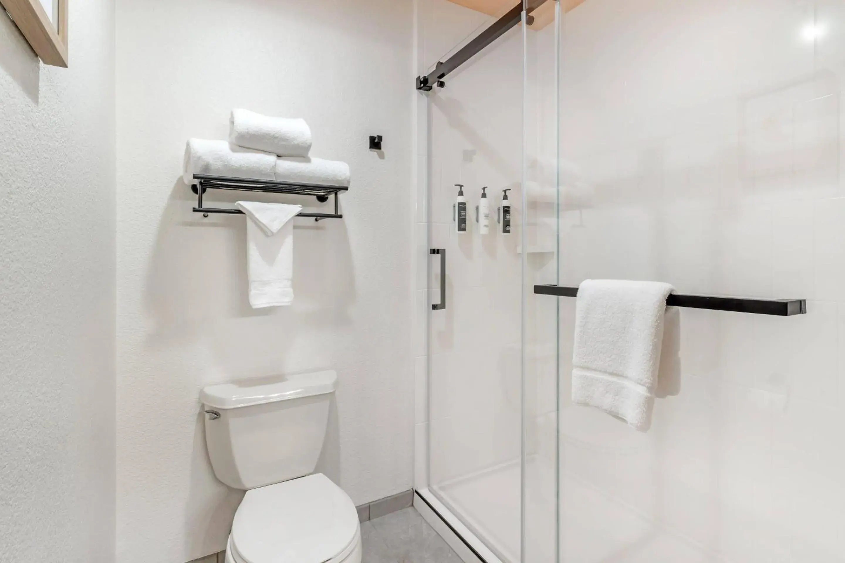 Bedroom in The Sandman Santa Rosa Sonoma, an Ascend Collection Hotel Bedroom in The Sandman Santa Rosa Sonoma, an Ascend Collection Hotel