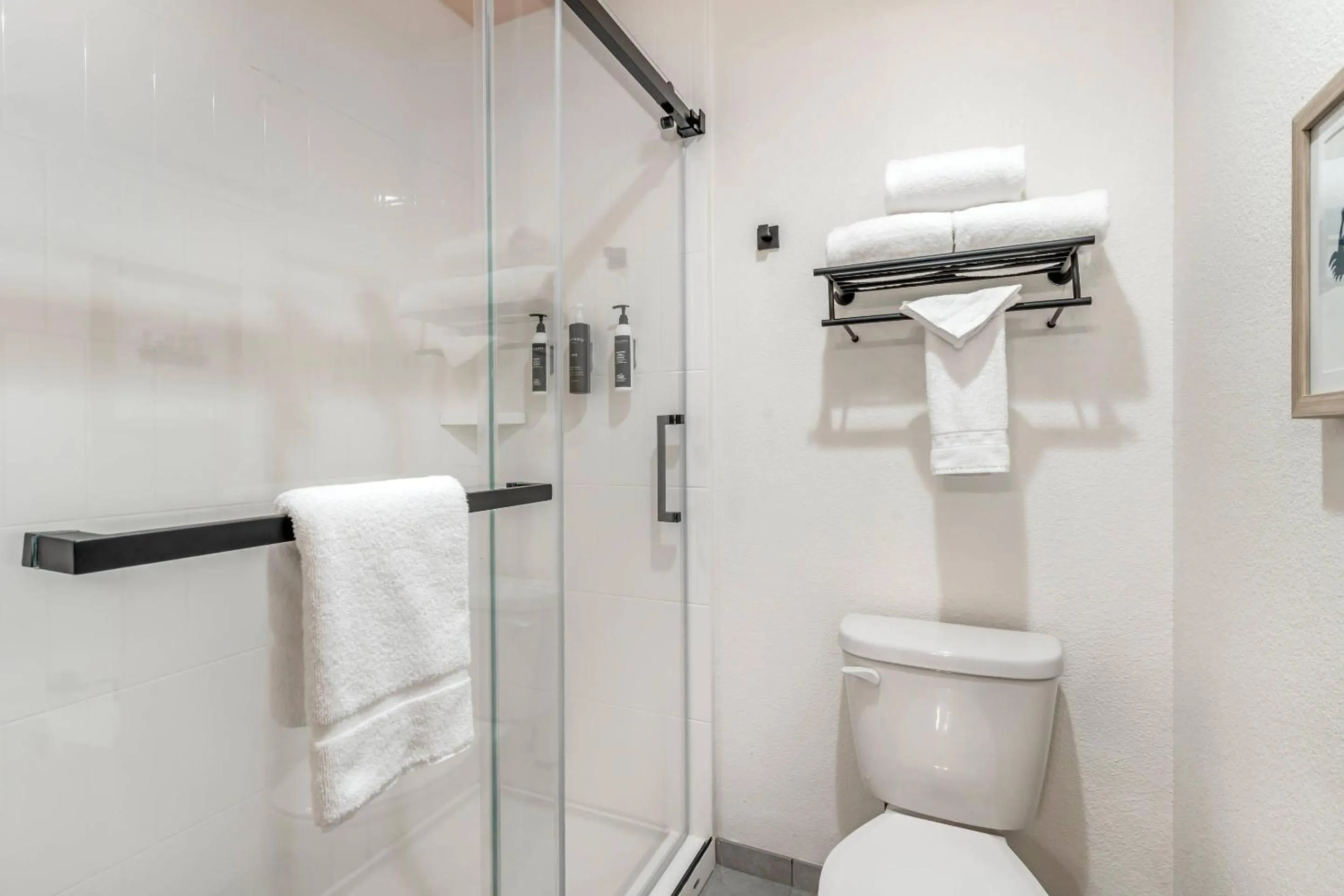 Bedroom in The Sandman Santa Rosa Sonoma, an Ascend Collection Hotel