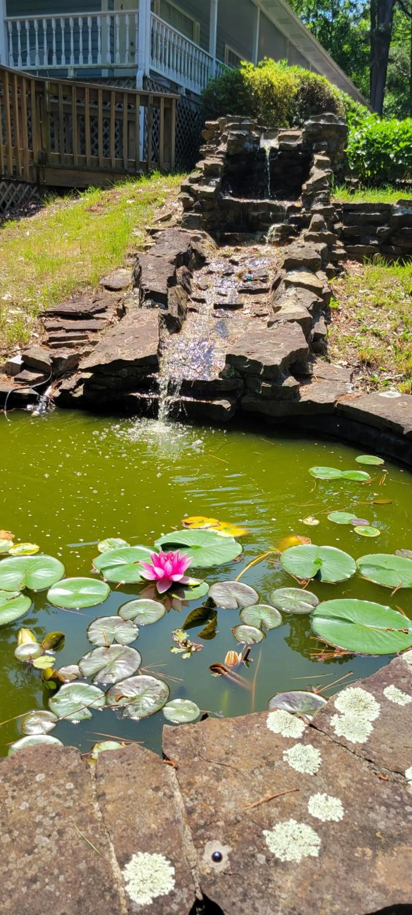 Day in Evening Shade Inn