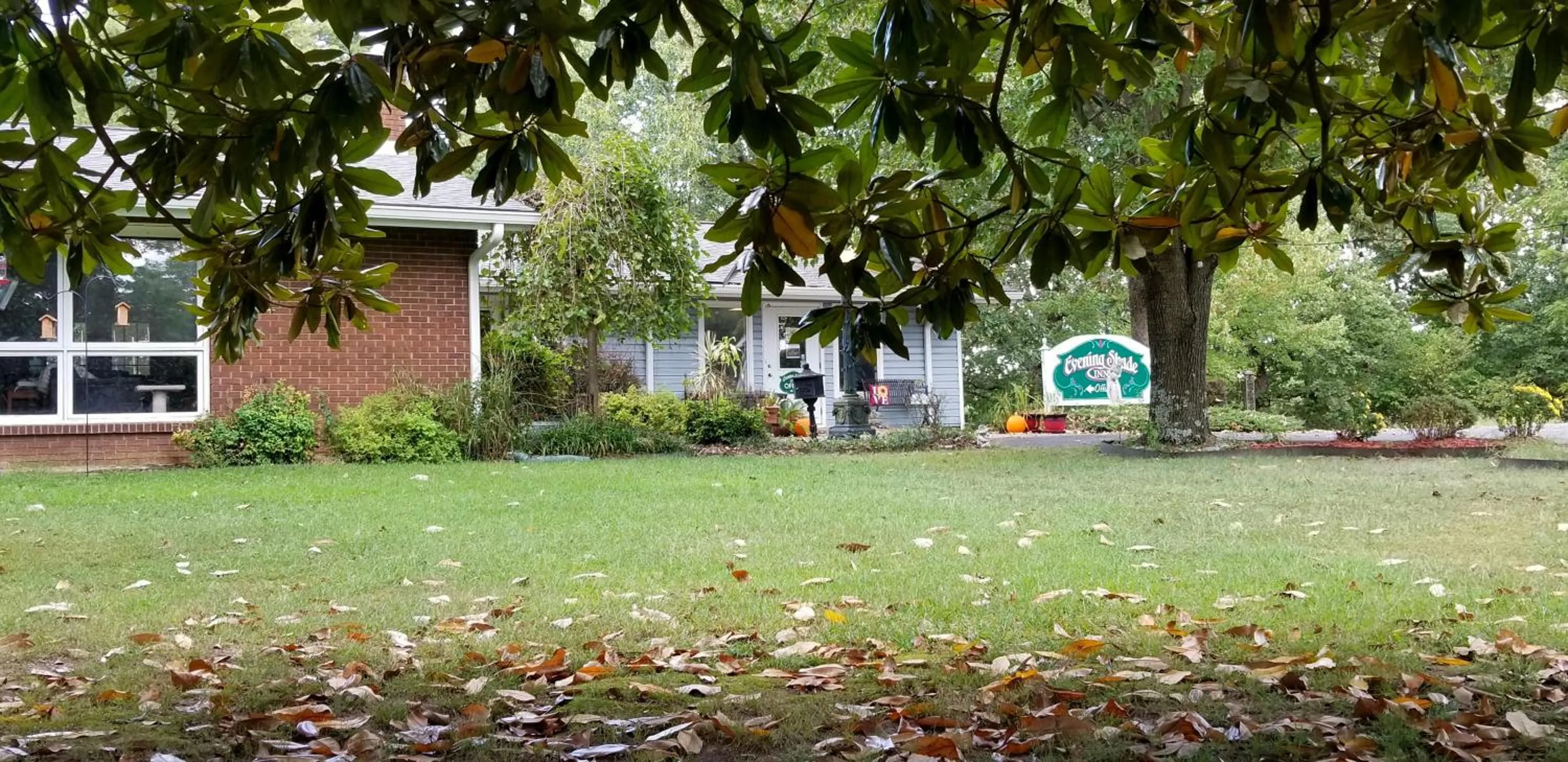 Day in Evening Shade Inn