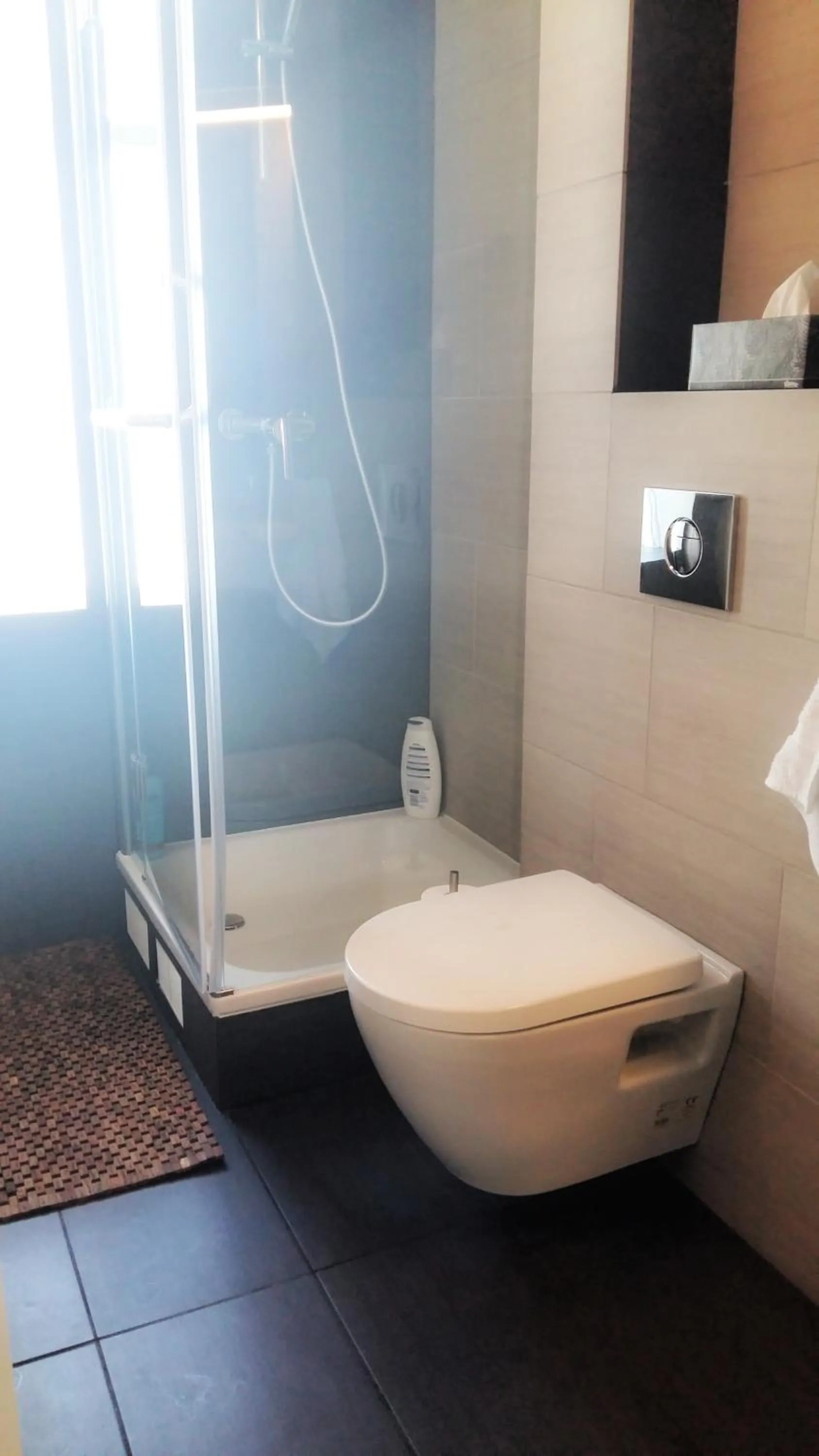 Shower in Refurinn Reykjavik Guesthouse