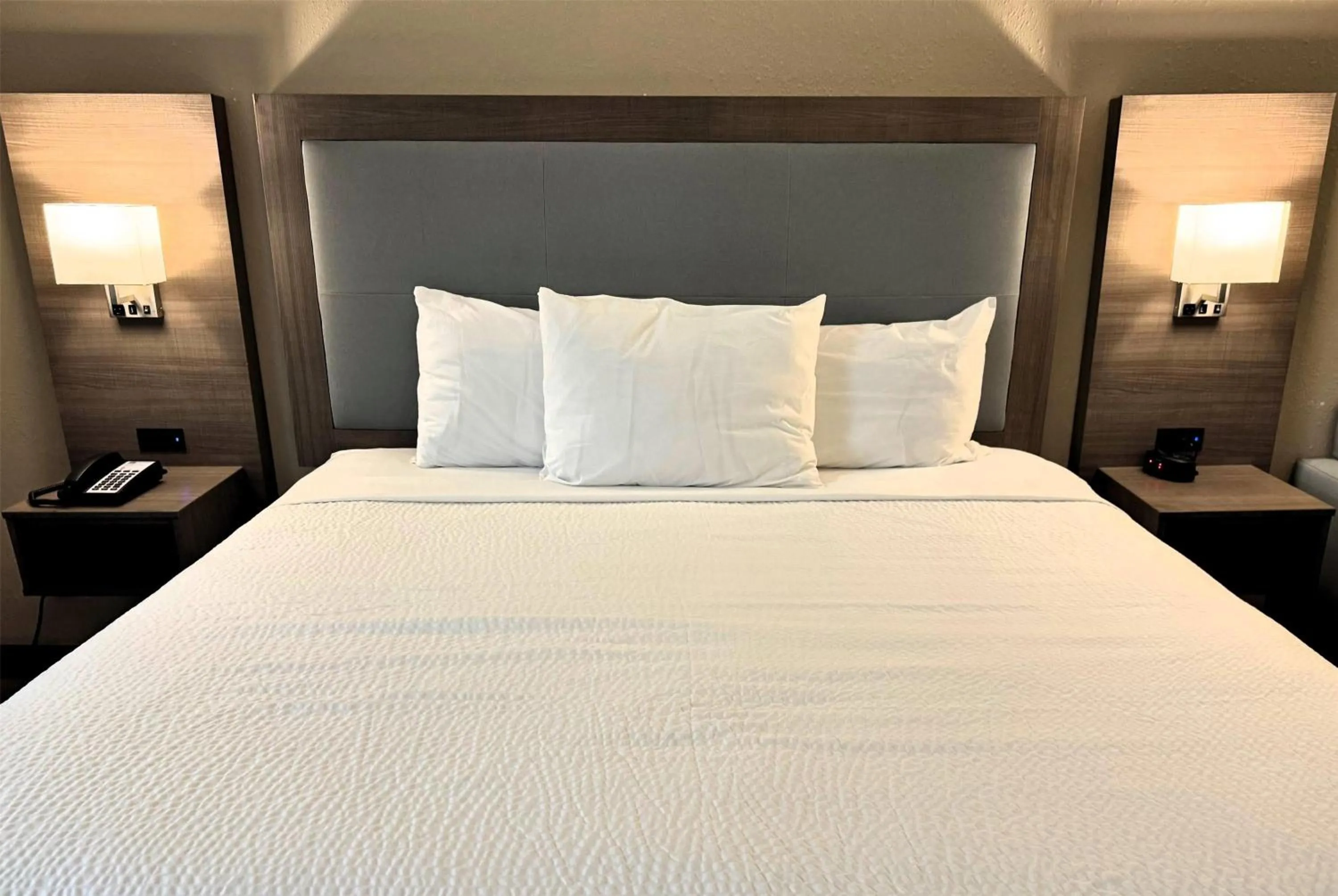 Photo of the whole room, Bed in Baymont by Wyndham Corpus Christi Airport