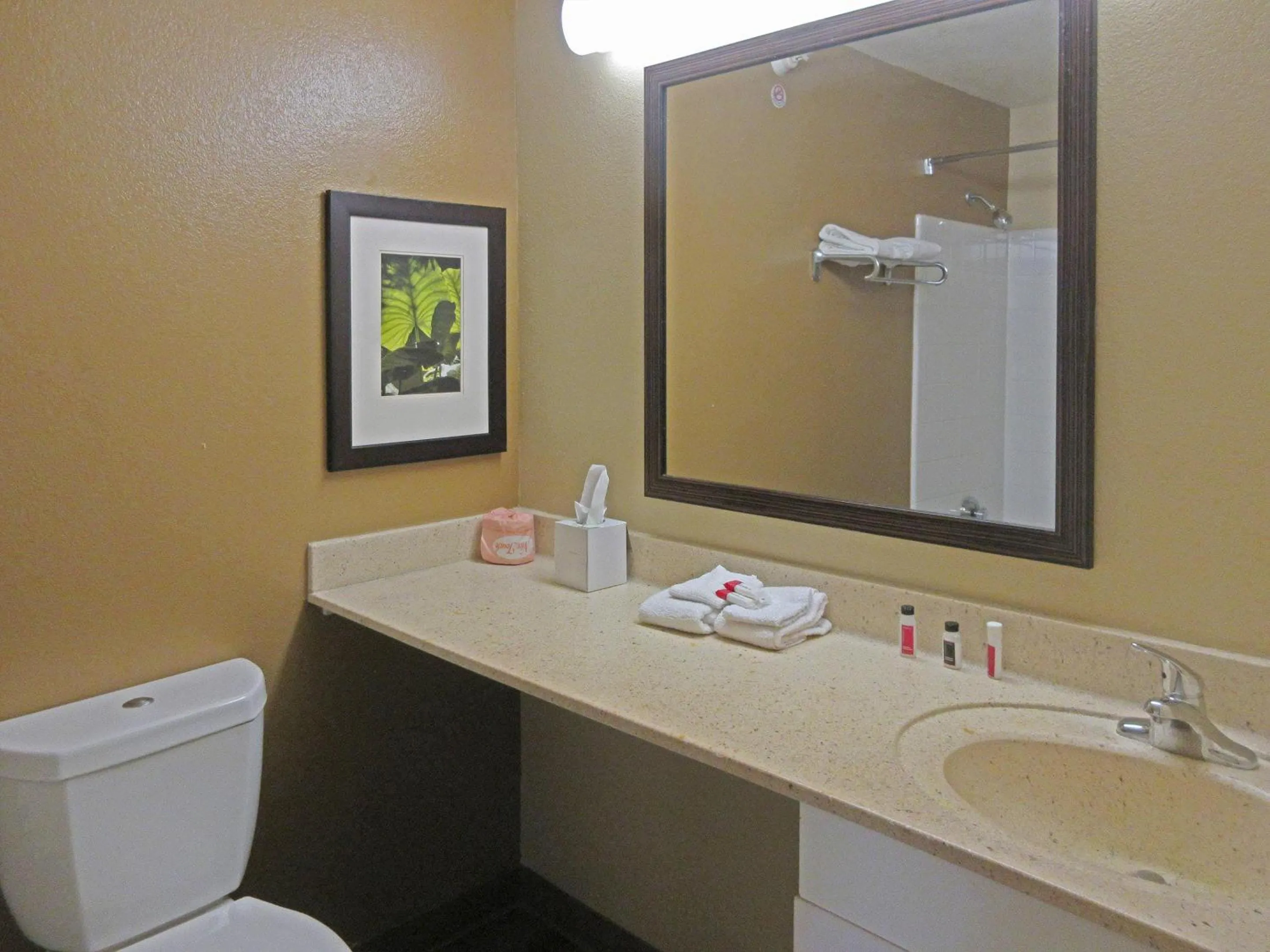 Bedroom in Suburban Studios Raleigh - Crabtree Valley