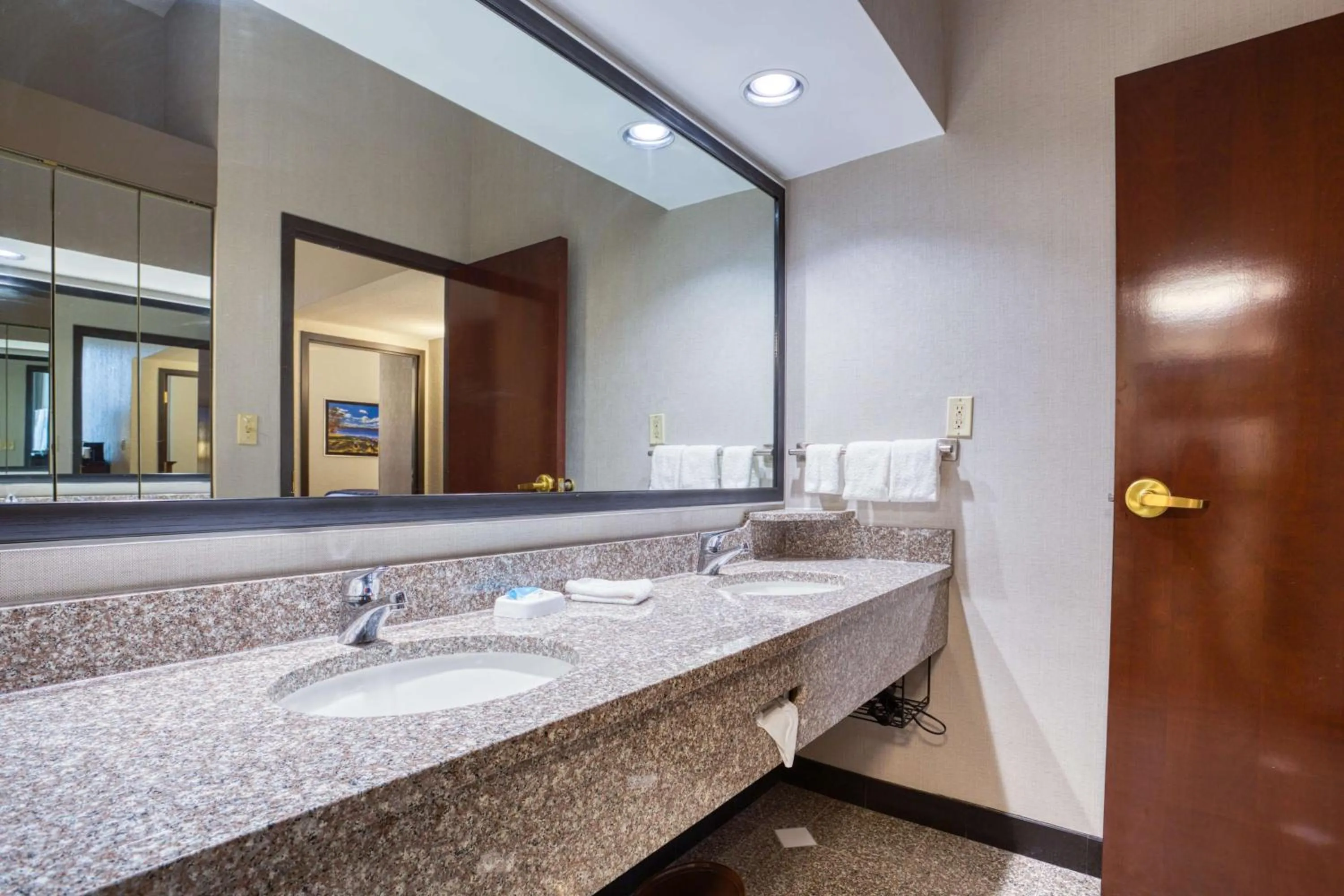 Bathroom in Drury Inn & Suites St. Louis - Fairview Heights
