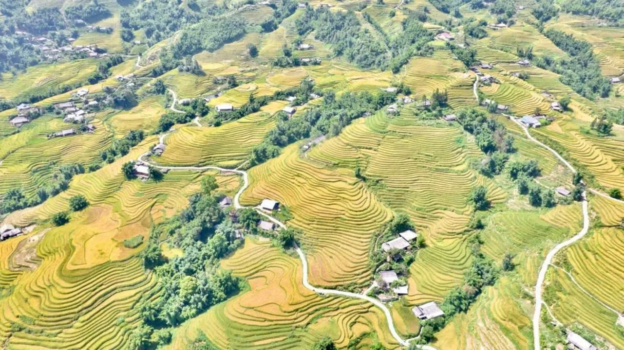 View (from property/room) in KK Sapa Hotel