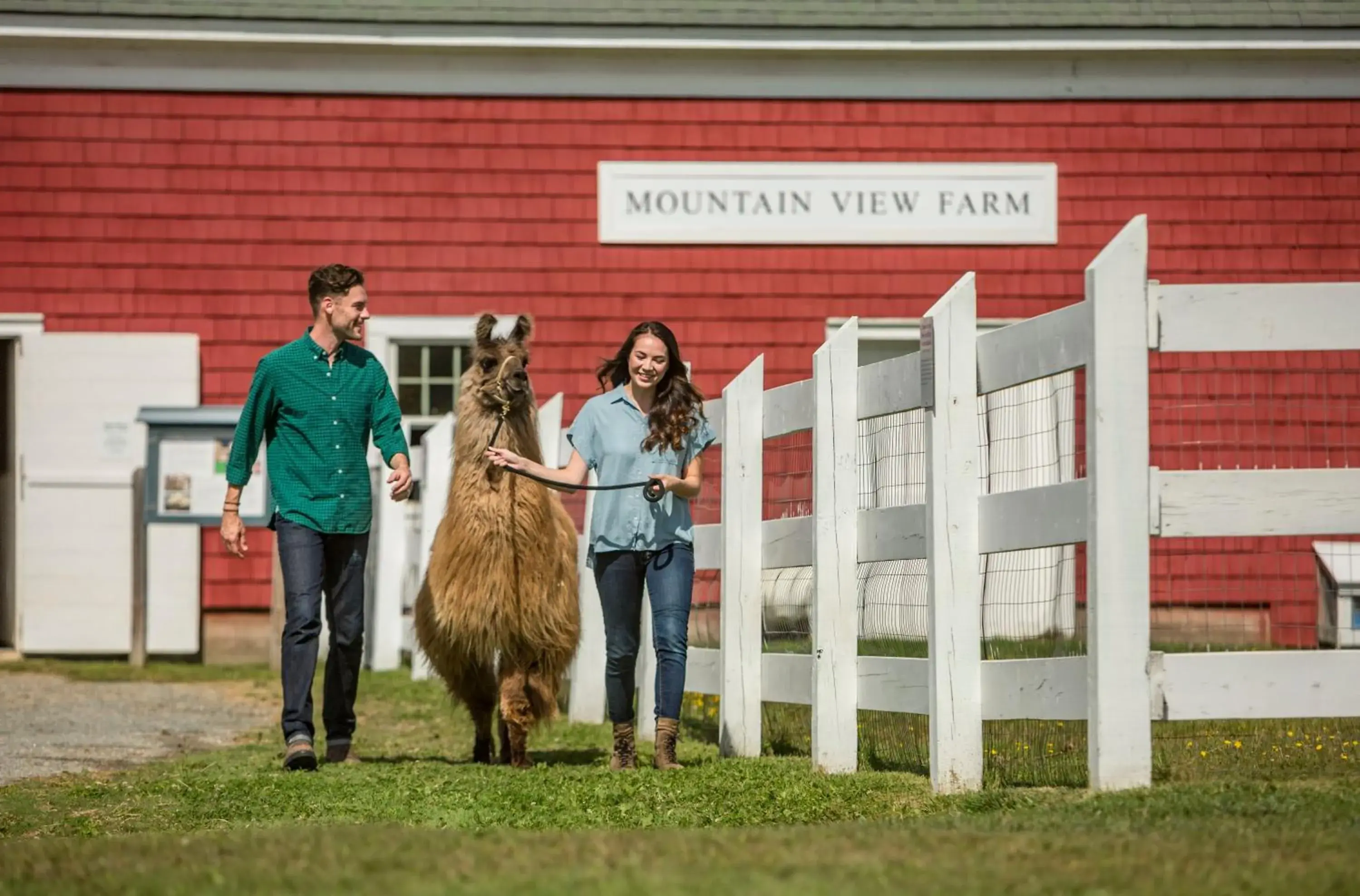 People in Mountain View Grand Resort & Spa People in Mountain View Grand Resort & Spa