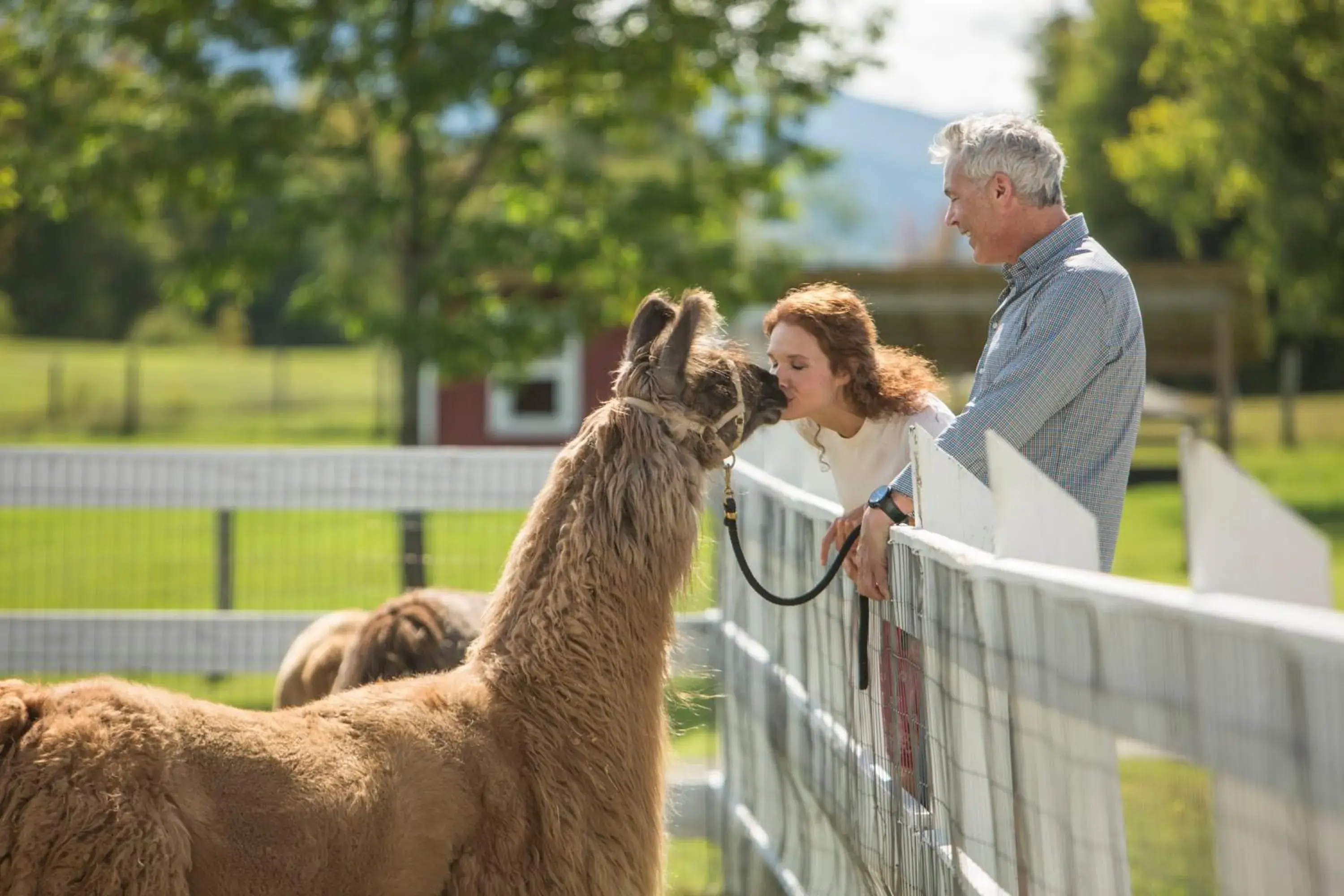People in Mountain View Grand Resort & Spa People in Mountain View Grand Resort & Spa