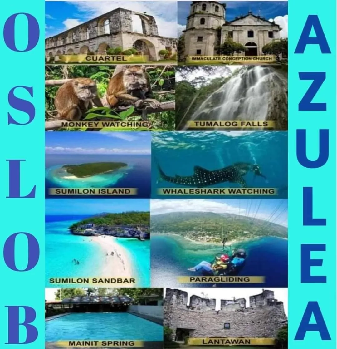 Azulea Lodging House Oslob