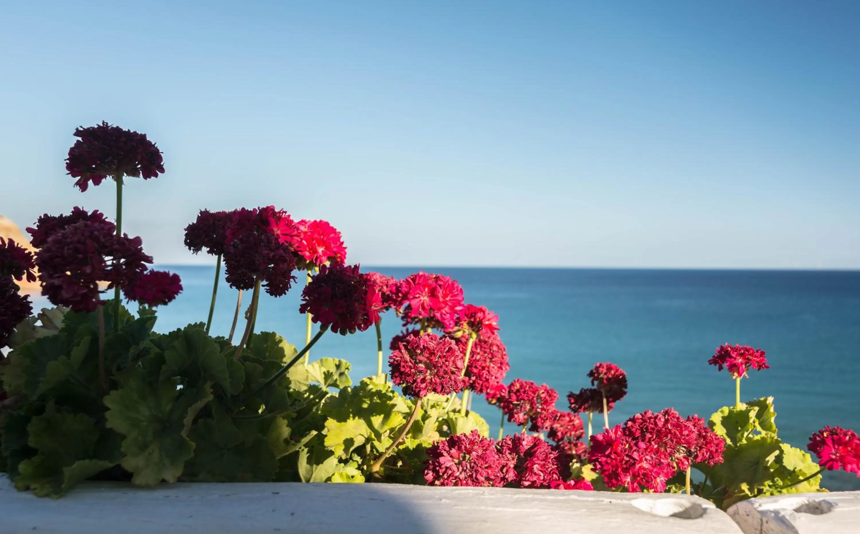 Giourgas Studios & Apartments