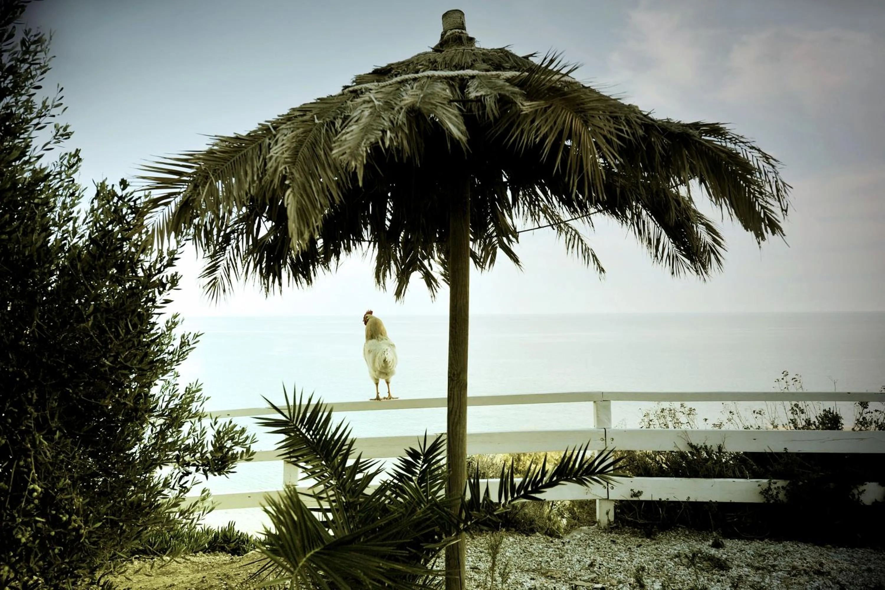 Giourgas Studios & Apartments