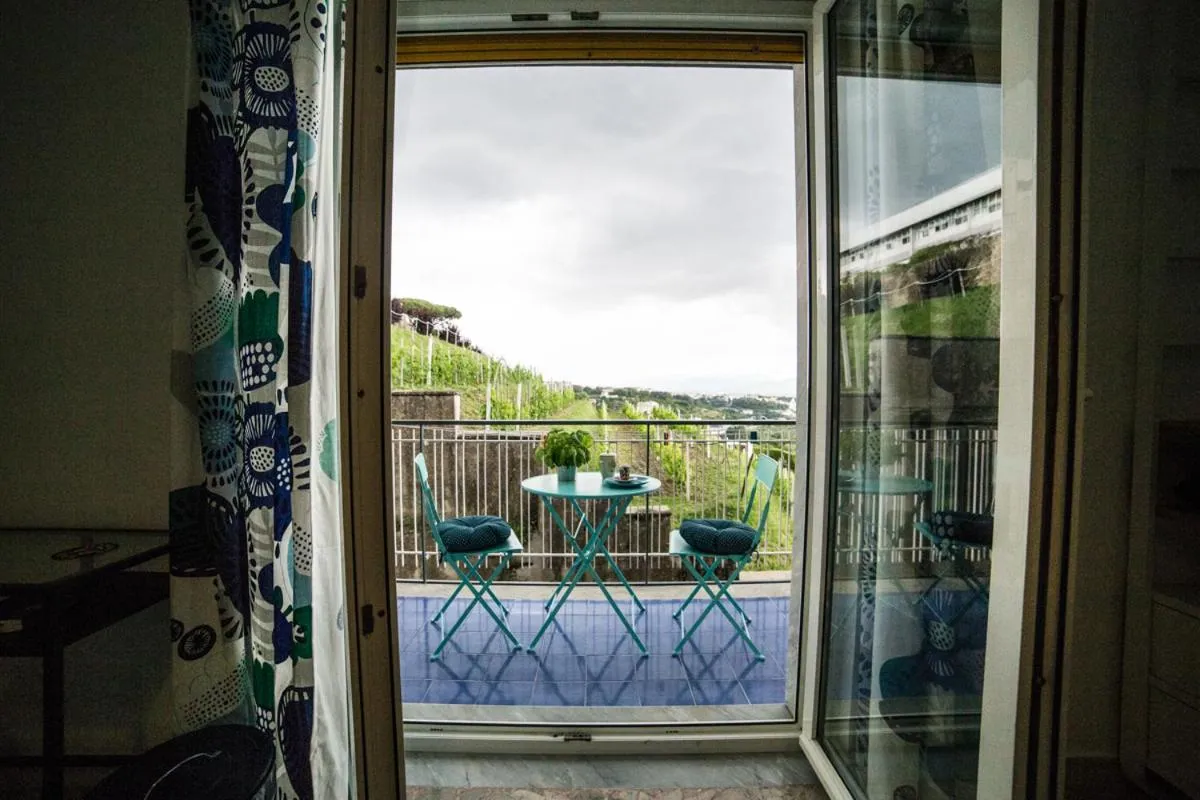 Balcony/Terrace in B&B Pacifico