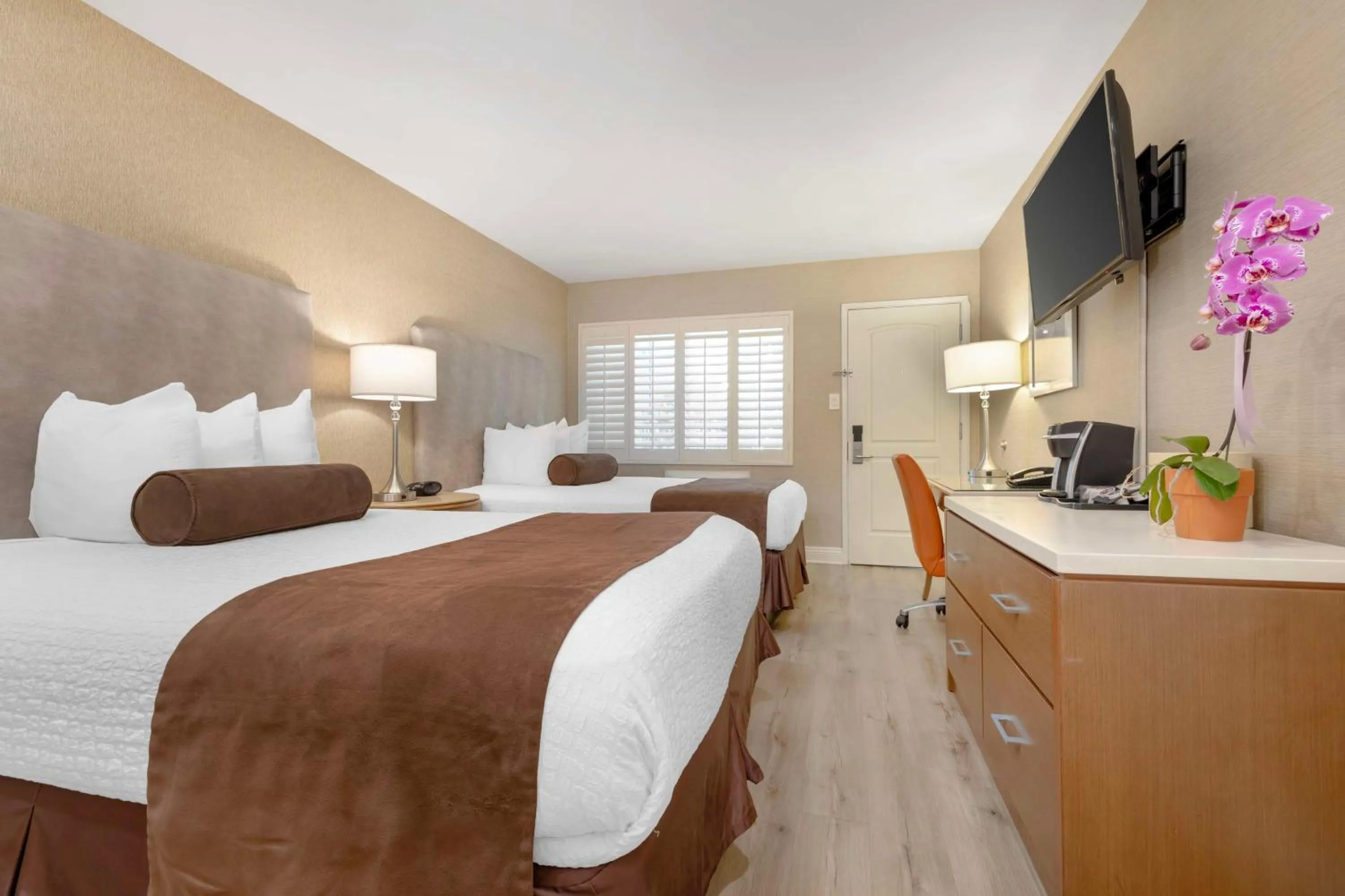 Bedroom, Bed in Best Western Downtown San Diego