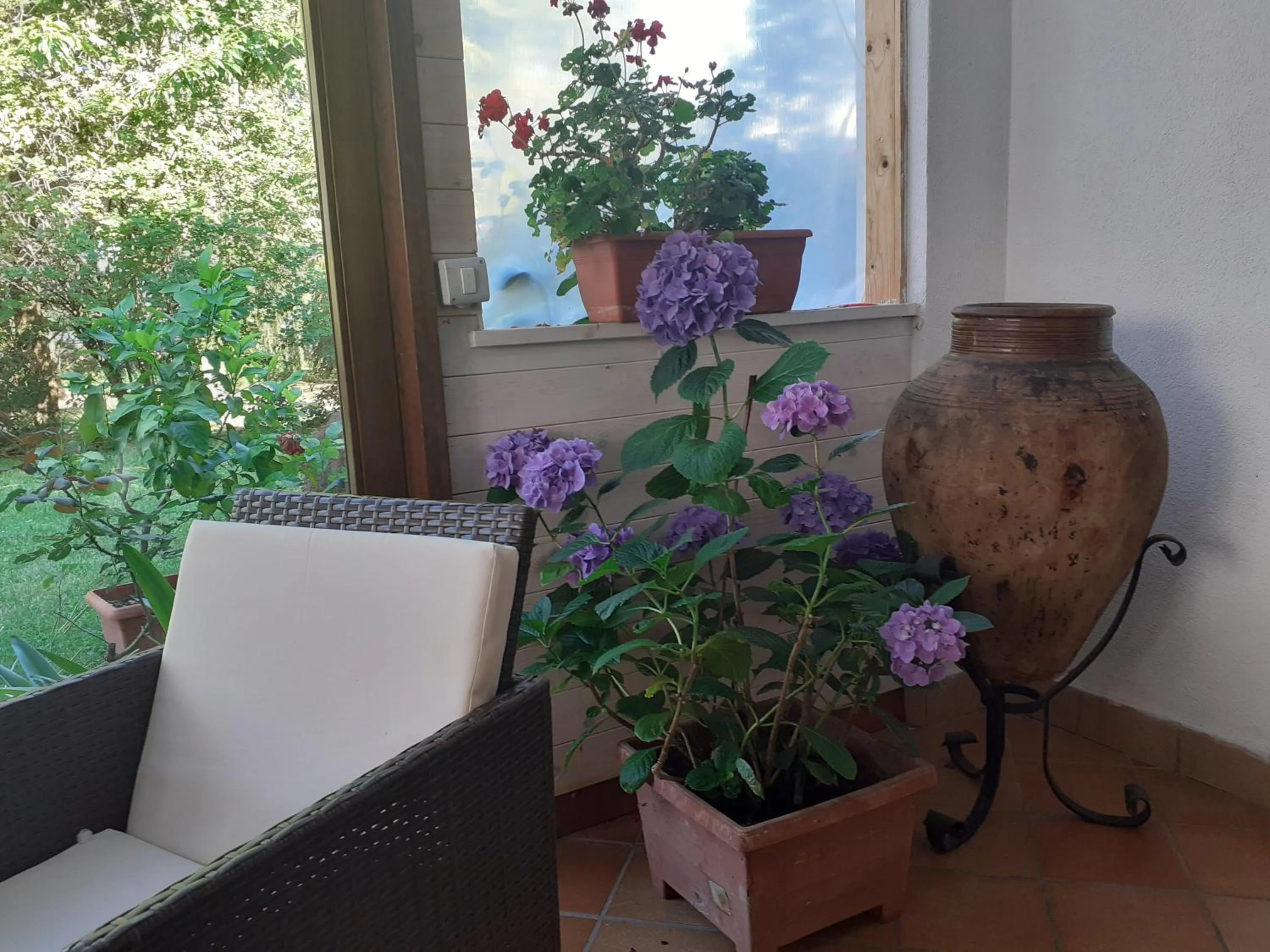 Garden view in B&B Villa Bucceri