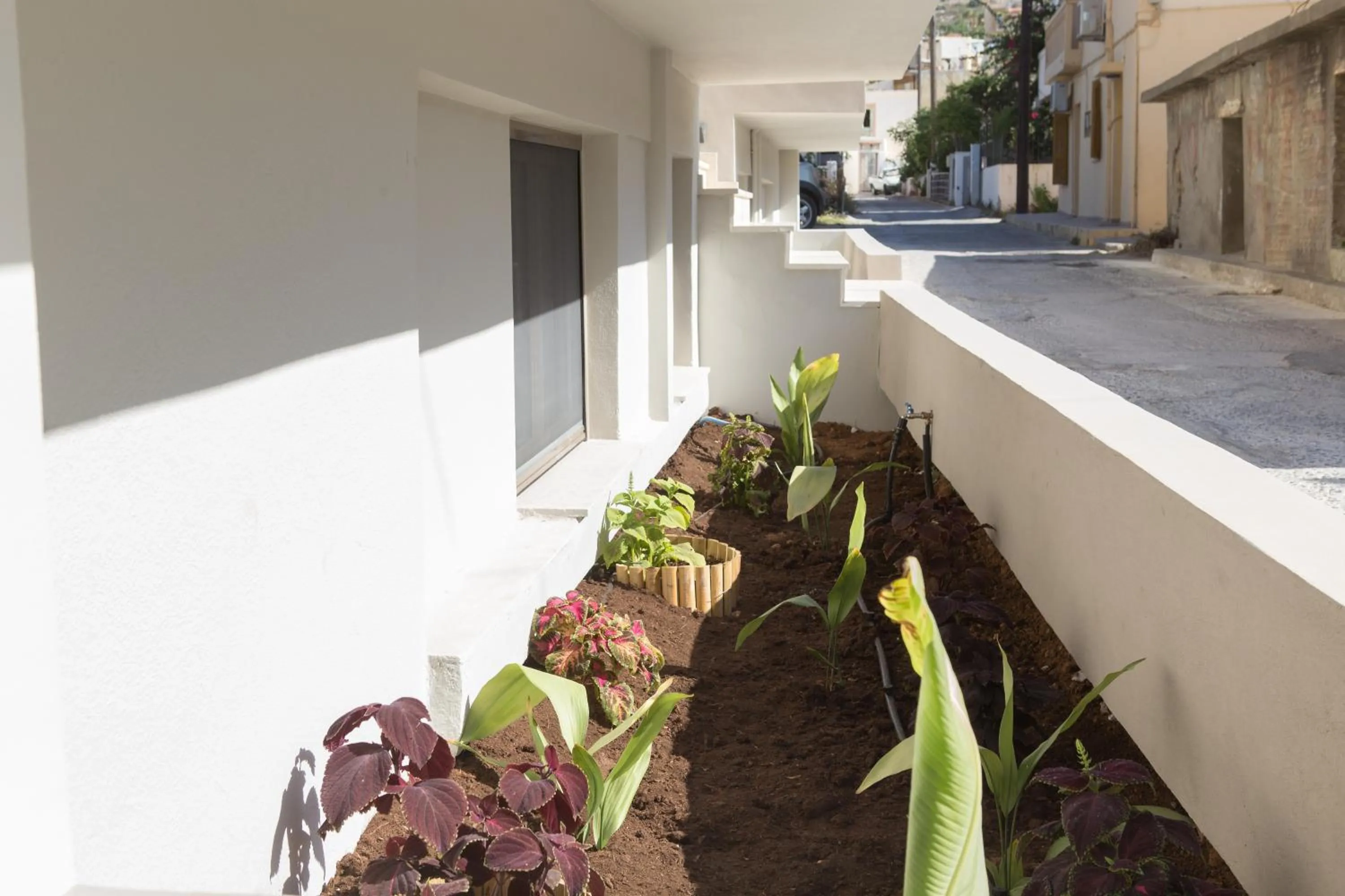 Patio in Calmare suites