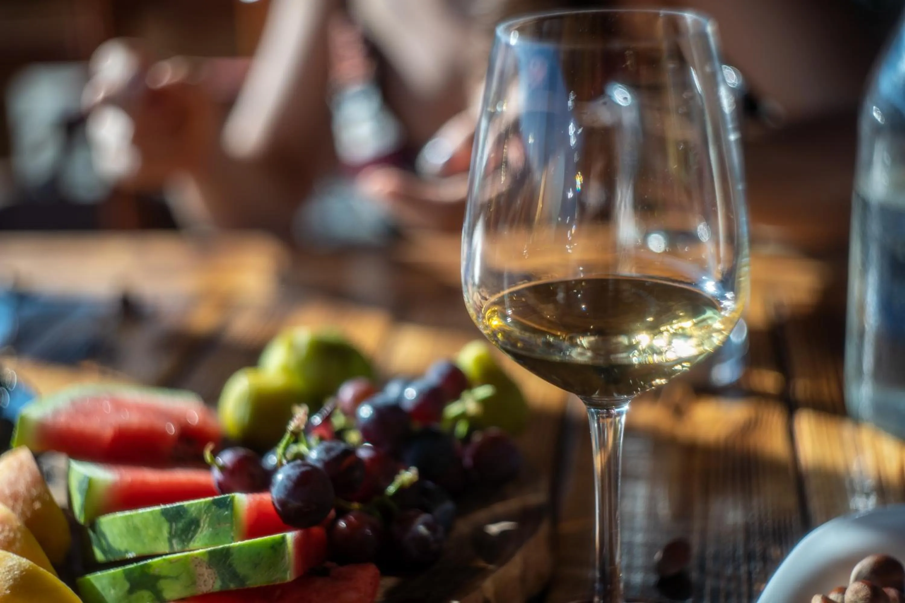 Food and drinks in Hotel Borklad