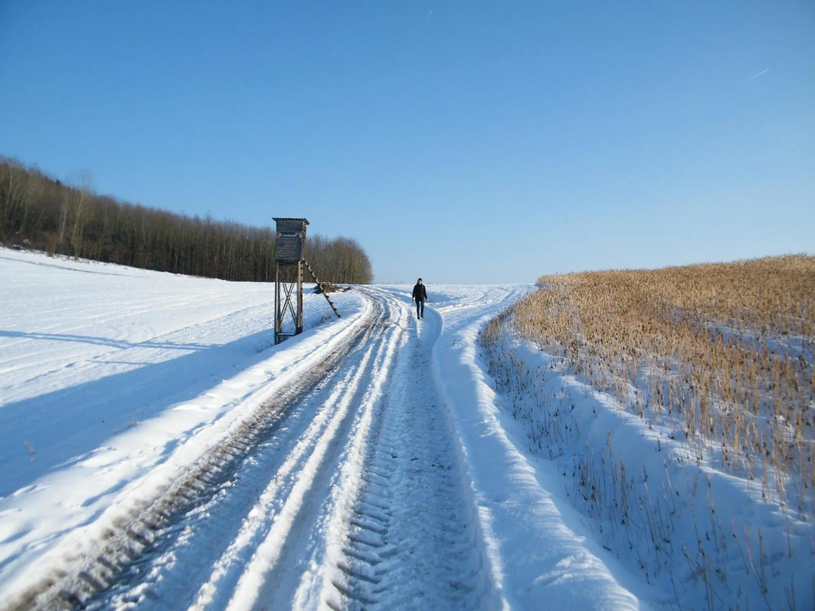 Natural landscape in Ferien vom Ich, Bayerischer Wald, Hotel & Restaurant