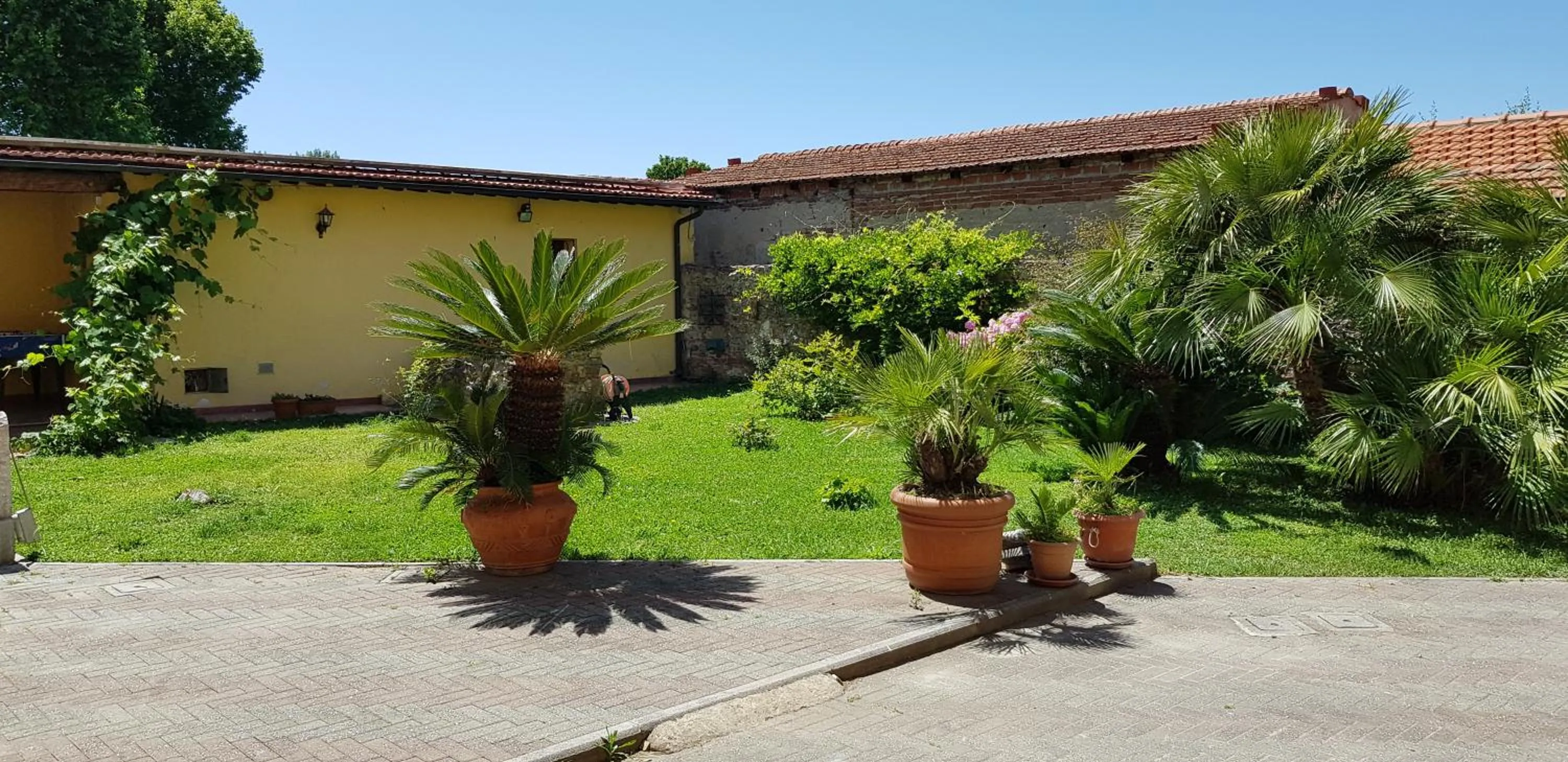 Garden in Villa il Lauro
