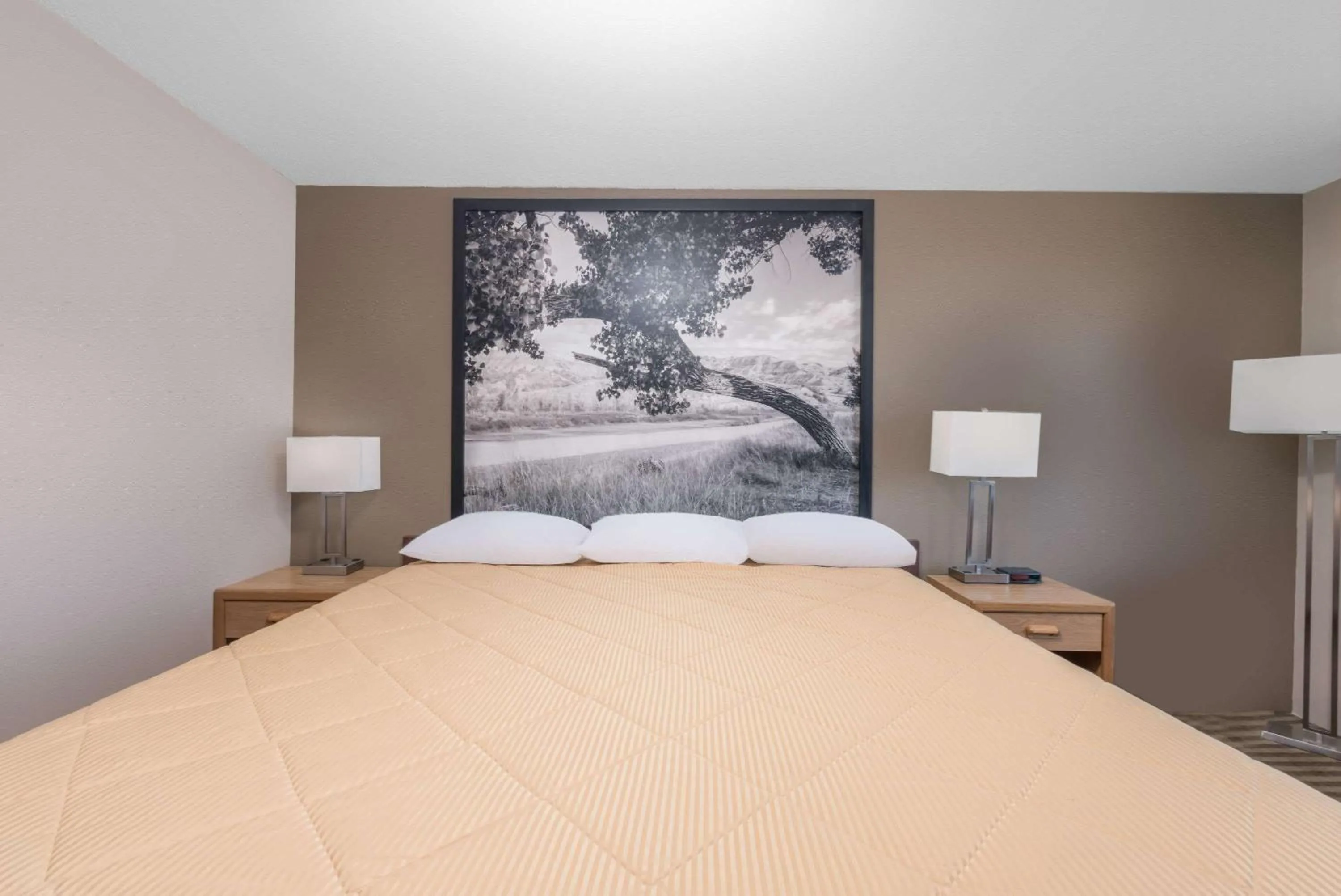 On site, Bed in Super 8 by Wyndham Bowman