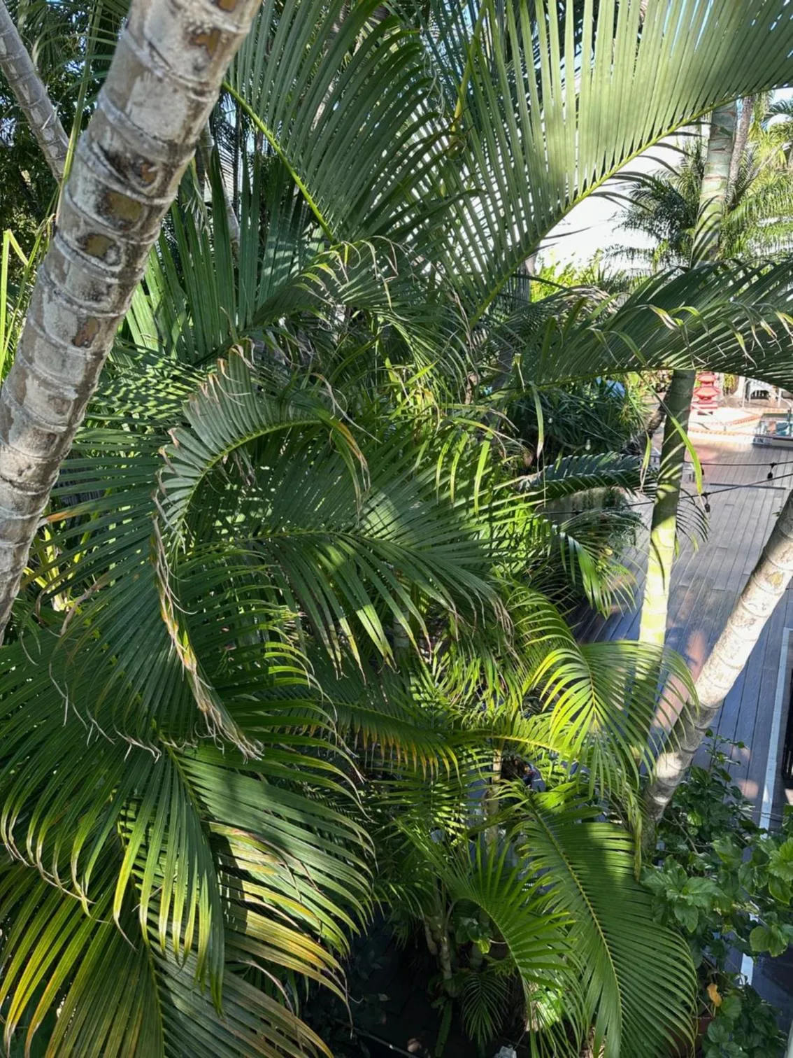 Garden view in Douglas House