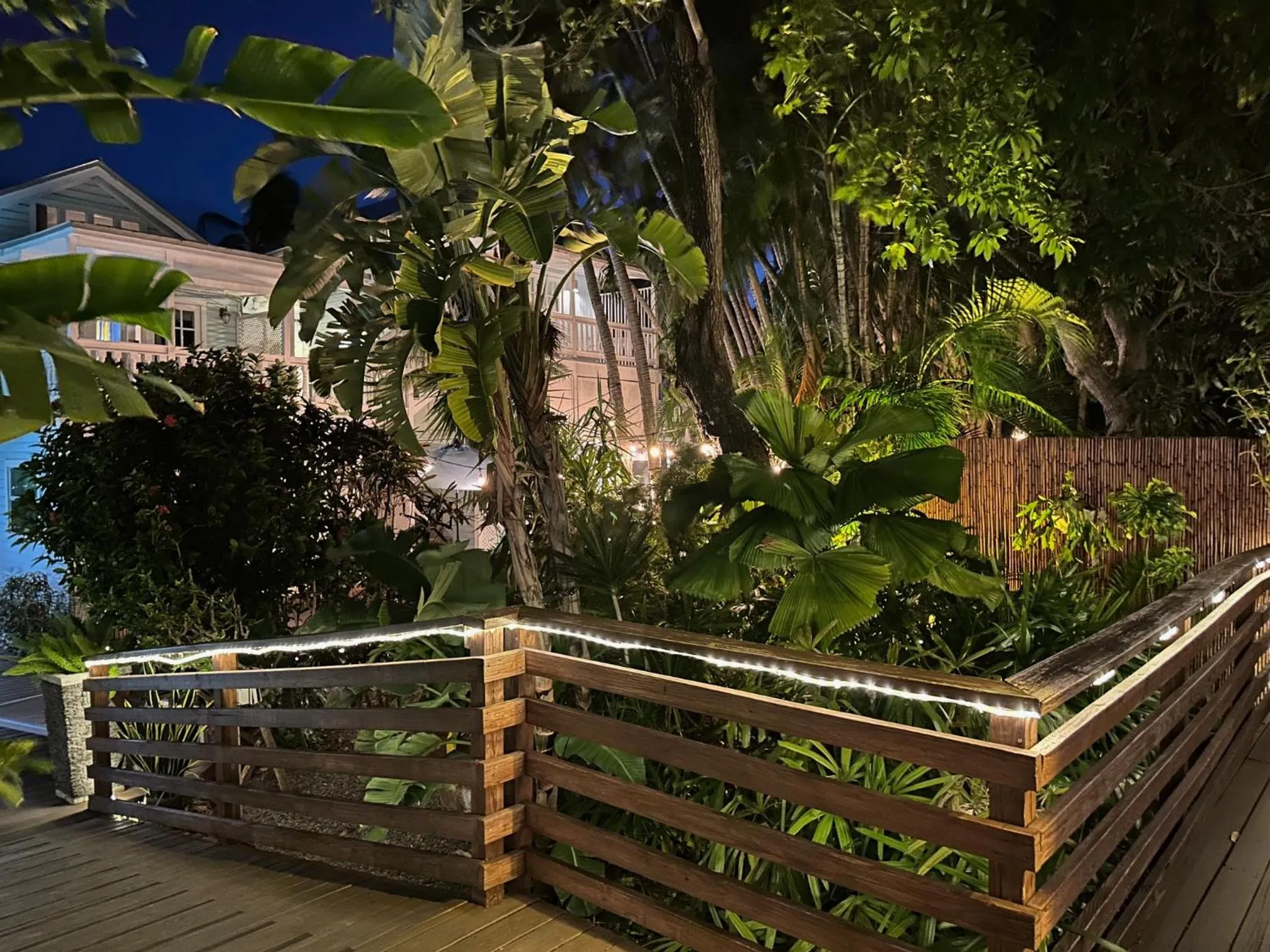 Night in Douglas House