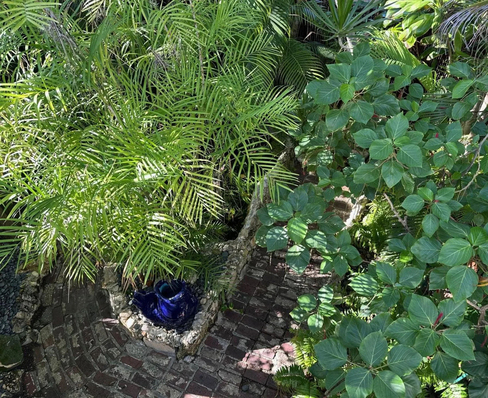 Garden view in Douglas House