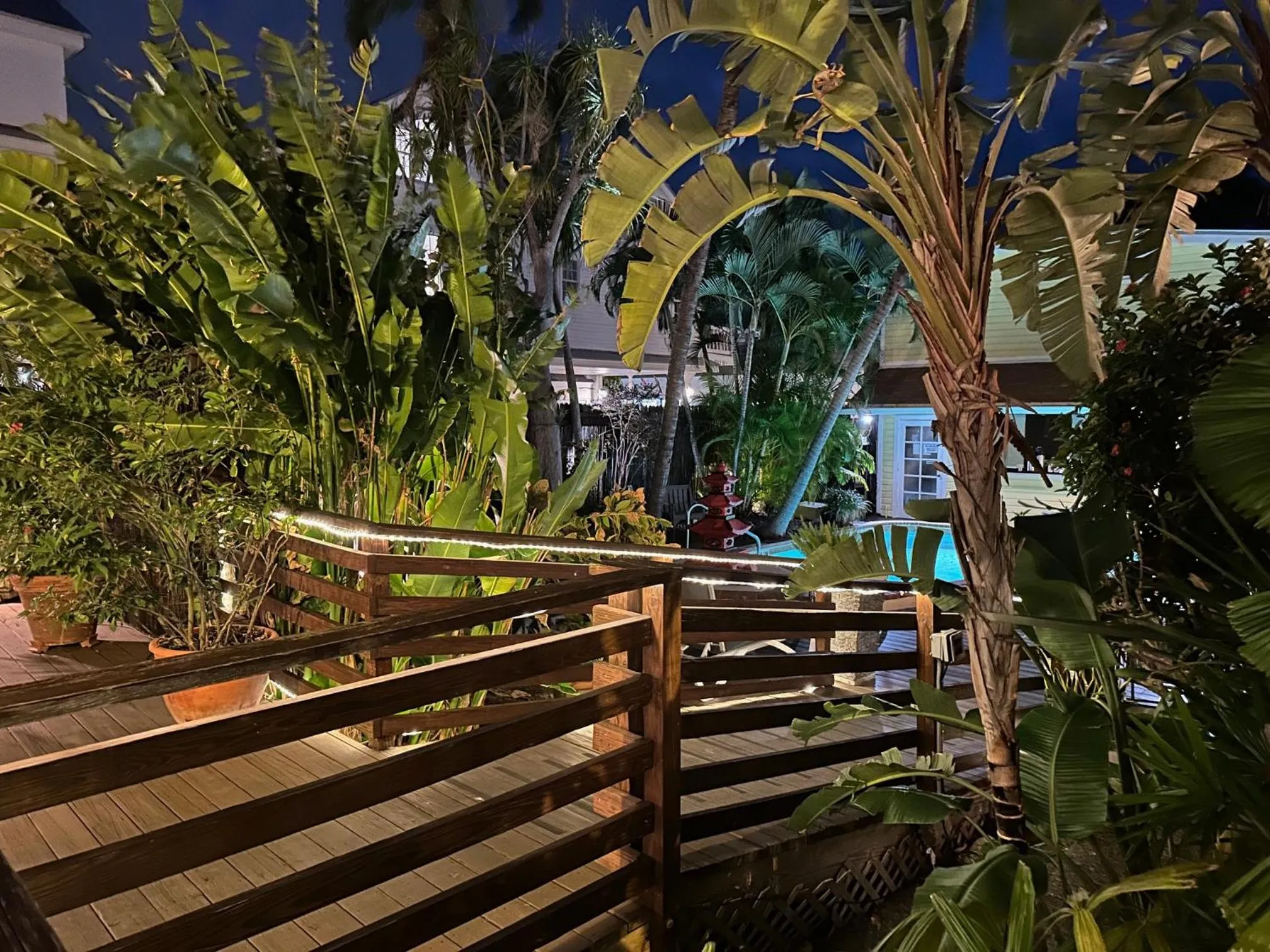 Night in Douglas House