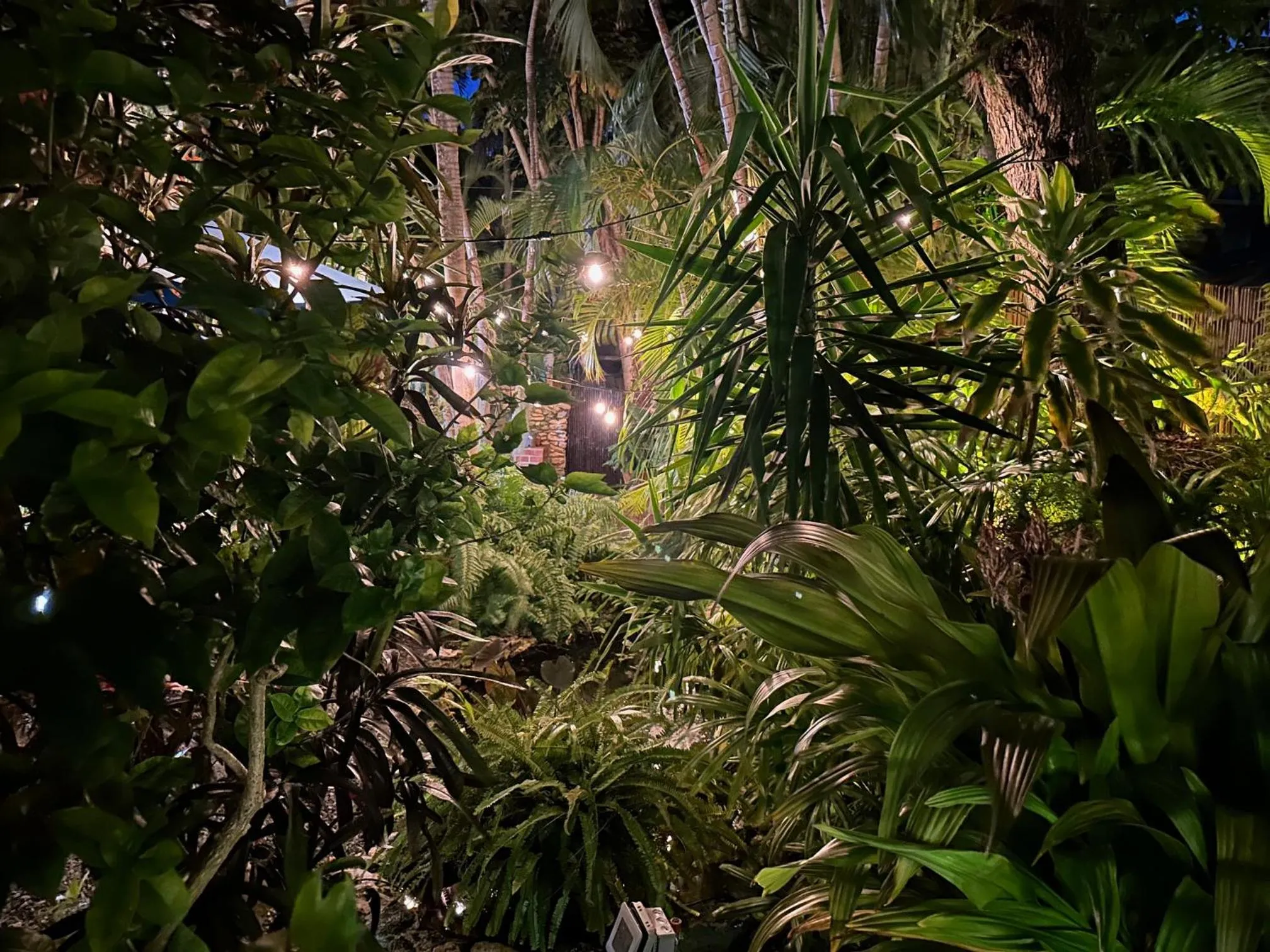 Night in Douglas House