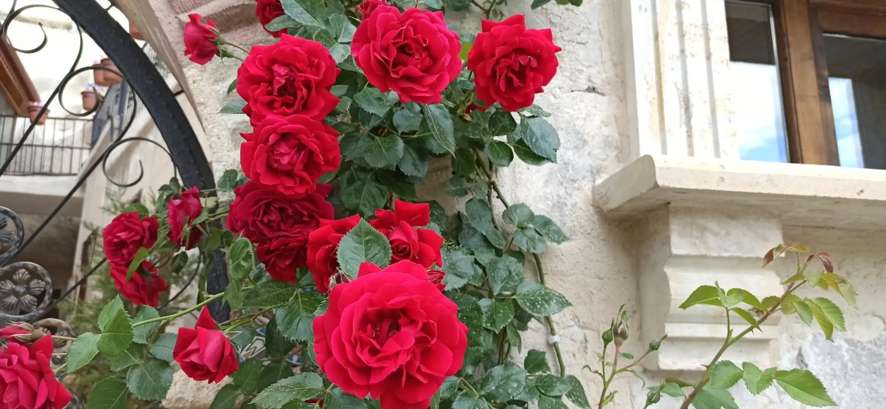 Facade/entrance in Adelya Cave Hotel Facade/entrance in Adelya Cave Hotel