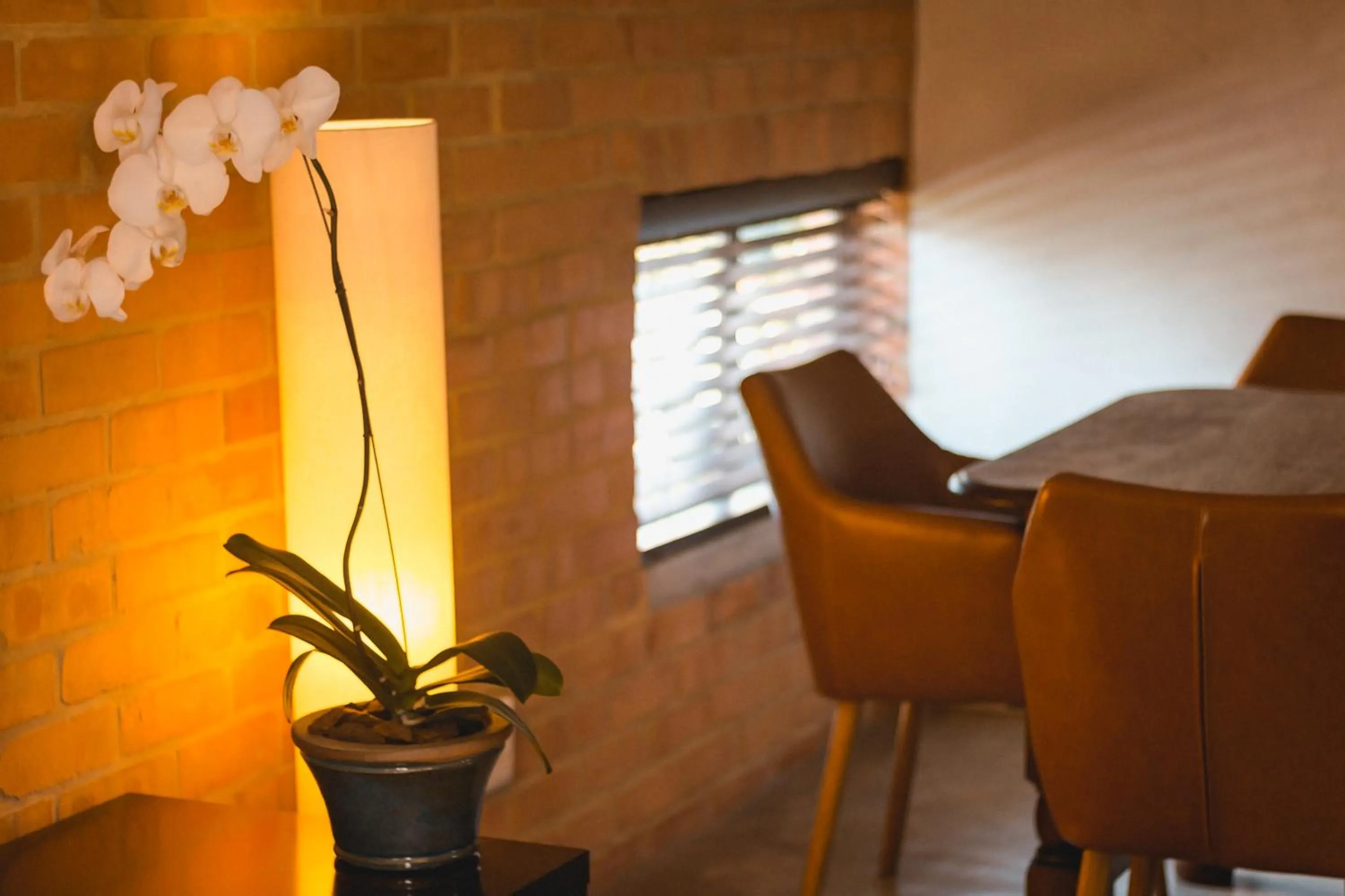 Living room in Twin Rivers Bed and Breakfast