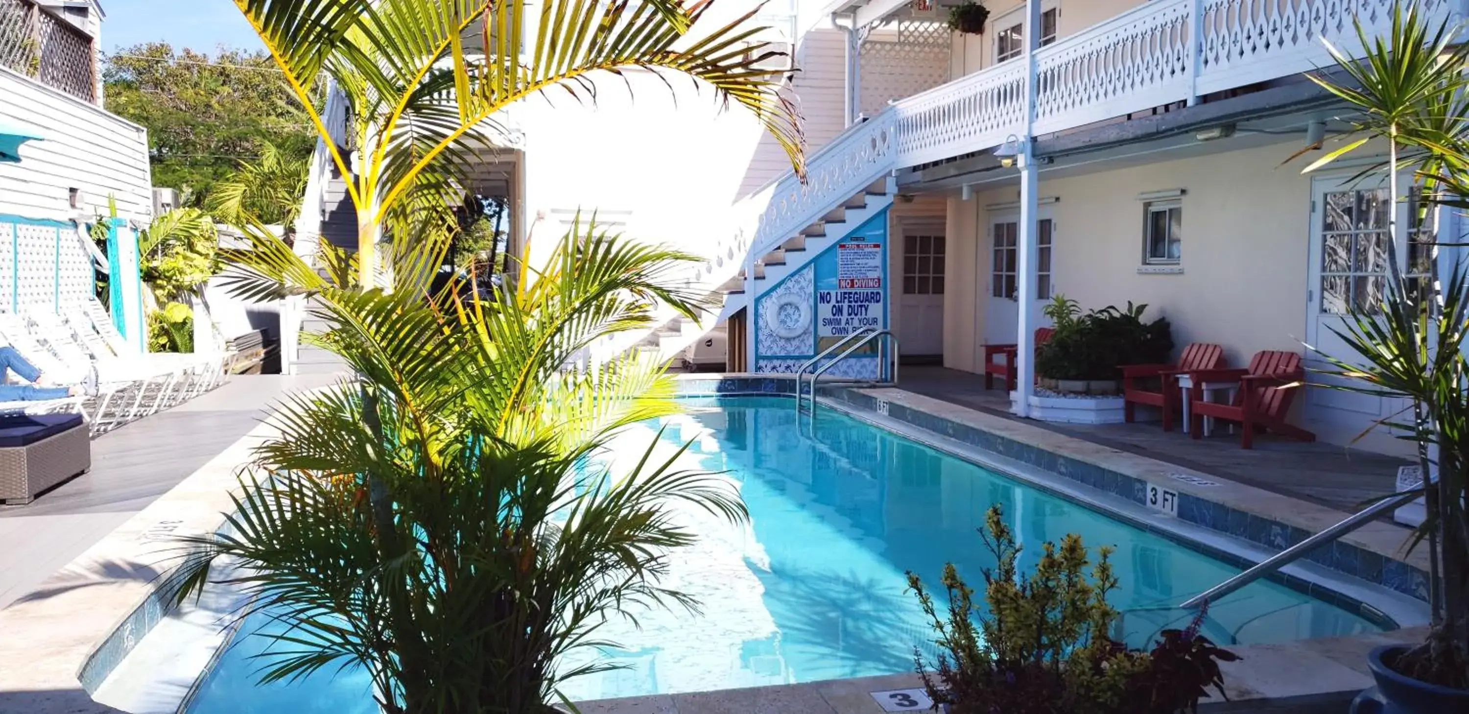 Pool view in The Palms Hotel Pool view in The Palms Hotel