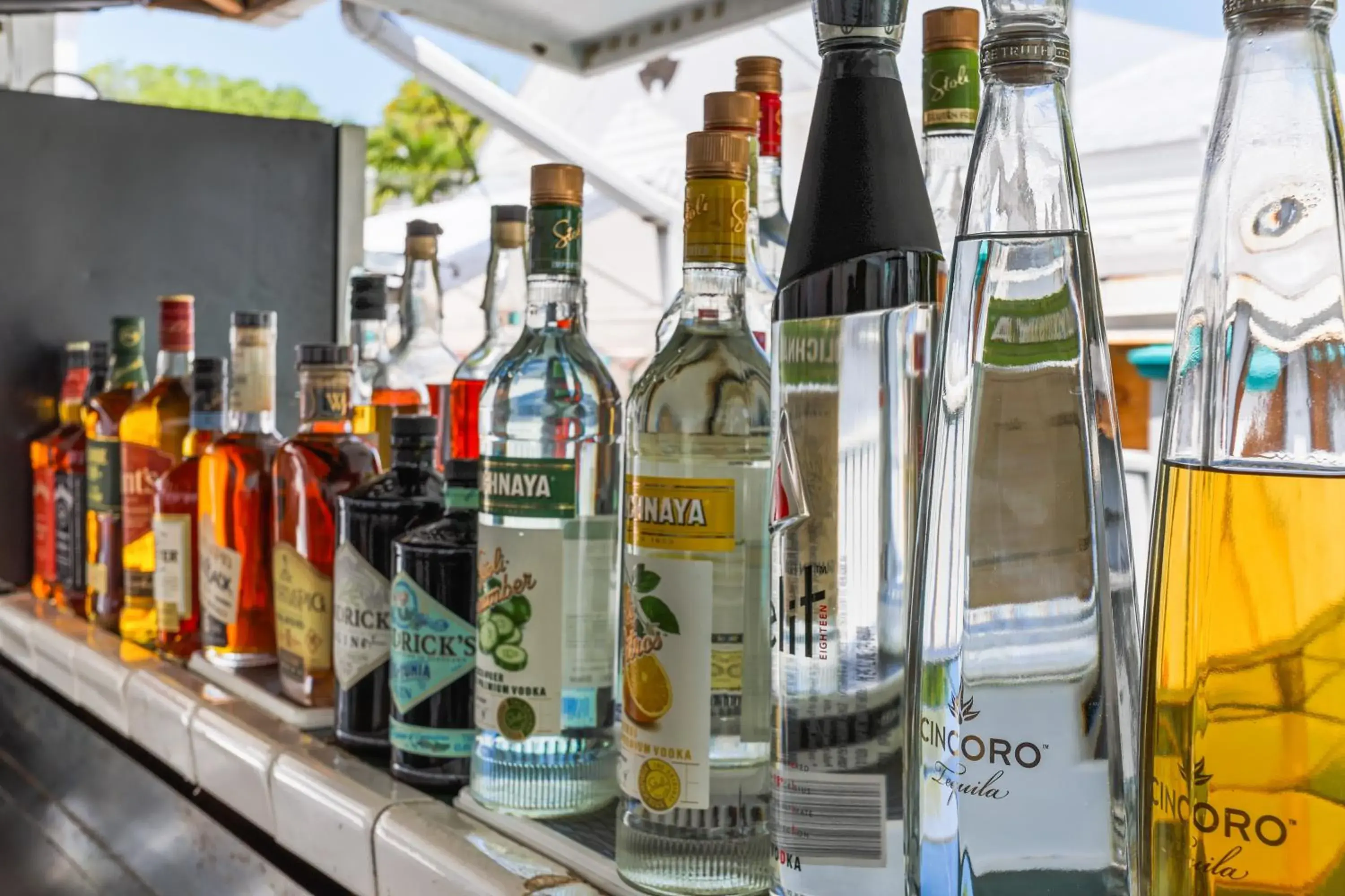 Lounge or bar in The Palms Hotel Lounge or bar in The Palms Hotel