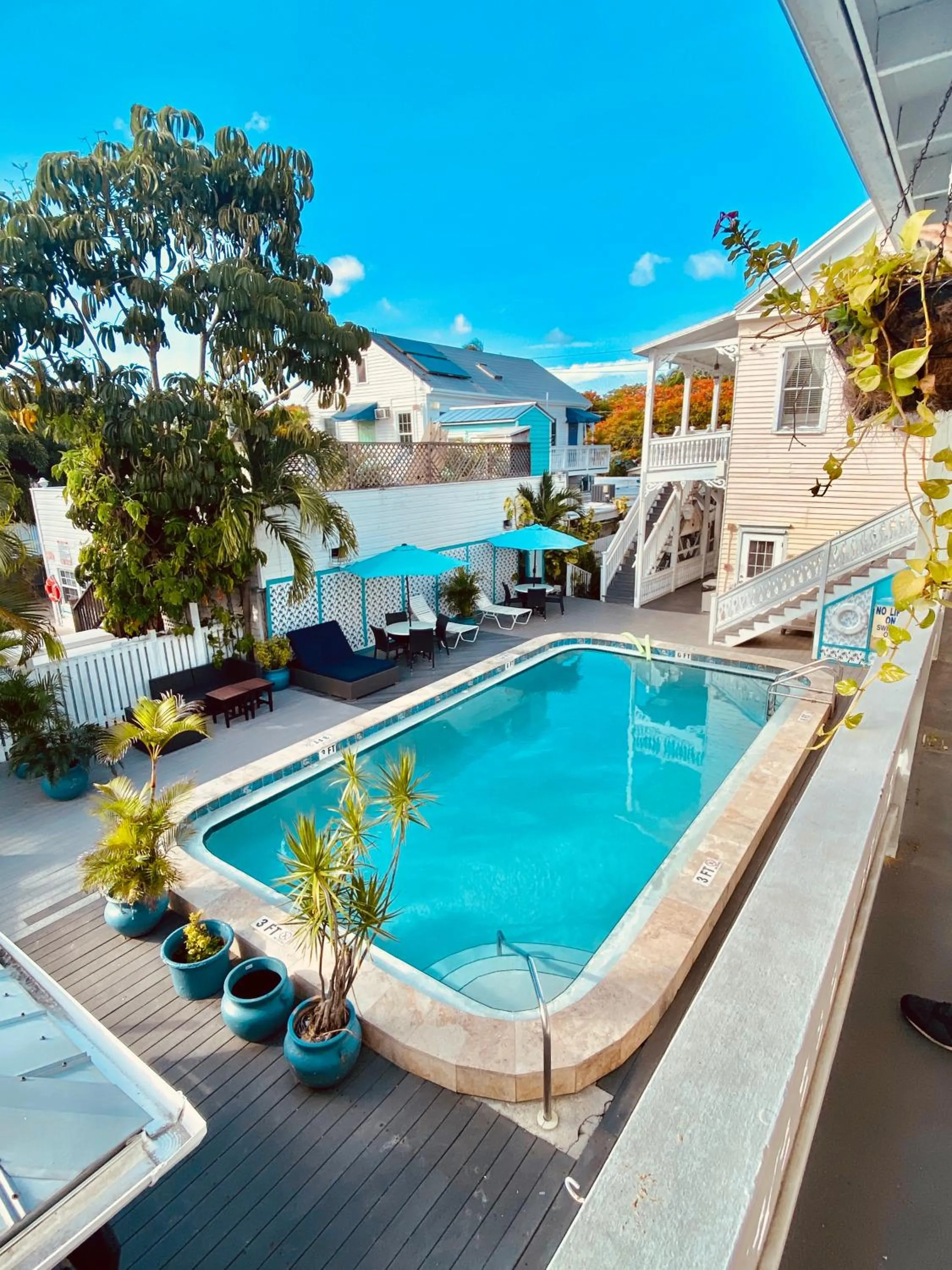 Pool view in The Palms Hotel