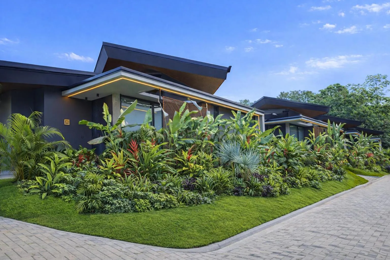 Garden in Noah's Forest by Tifakara