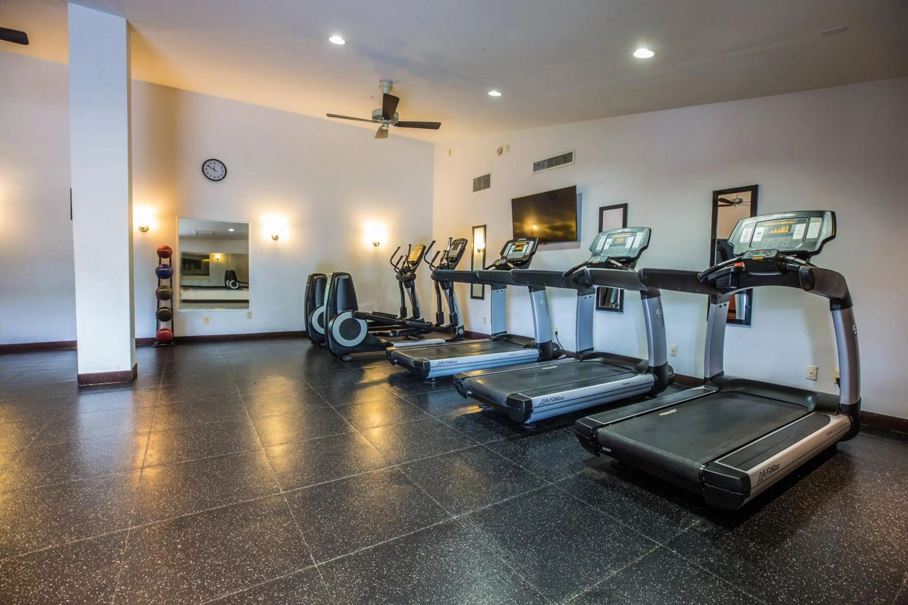 Fitness centre/facilities in Delta Hotels by Marriott Baltimore North