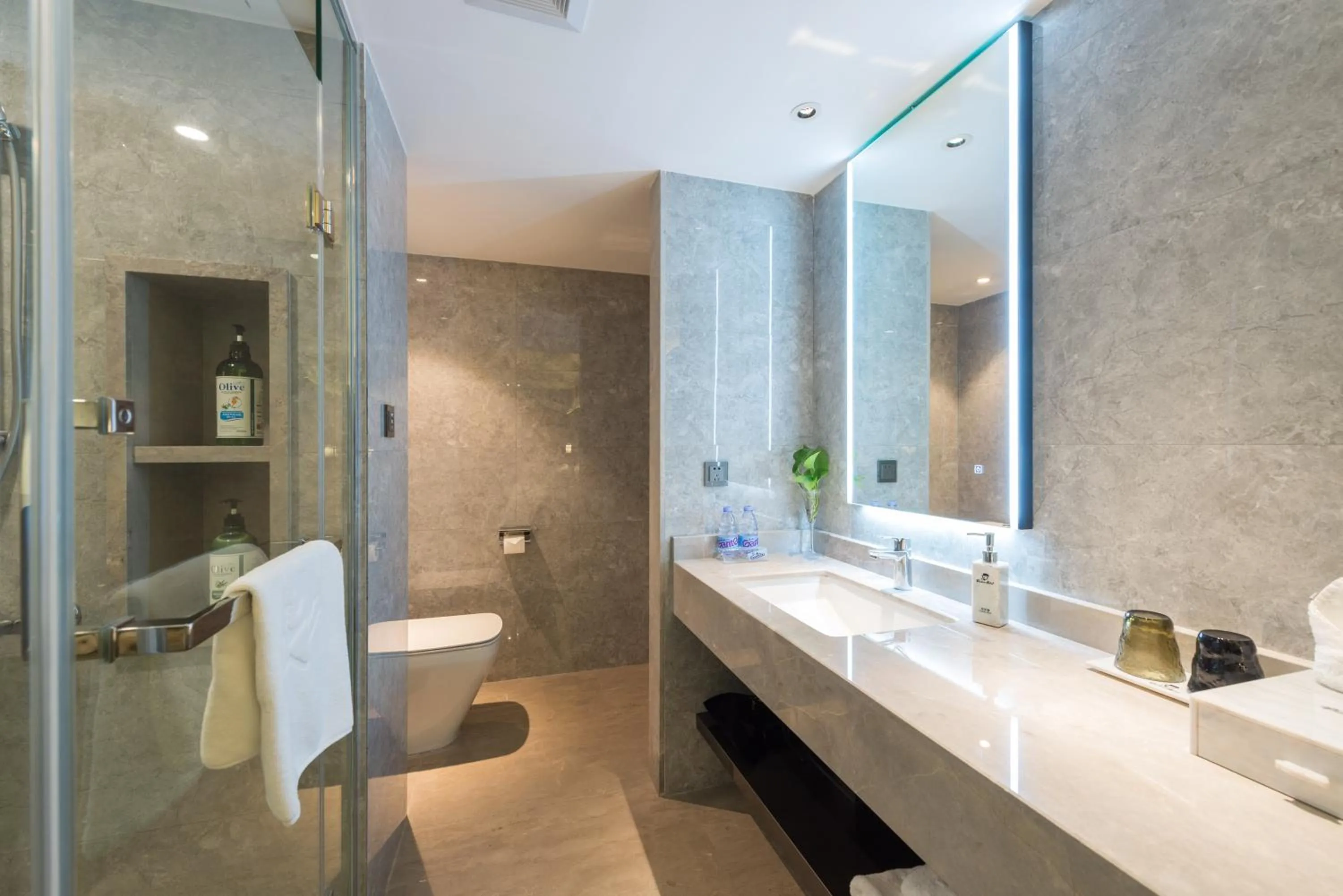 Toilet in Dashen Hotel Shunde Lecong