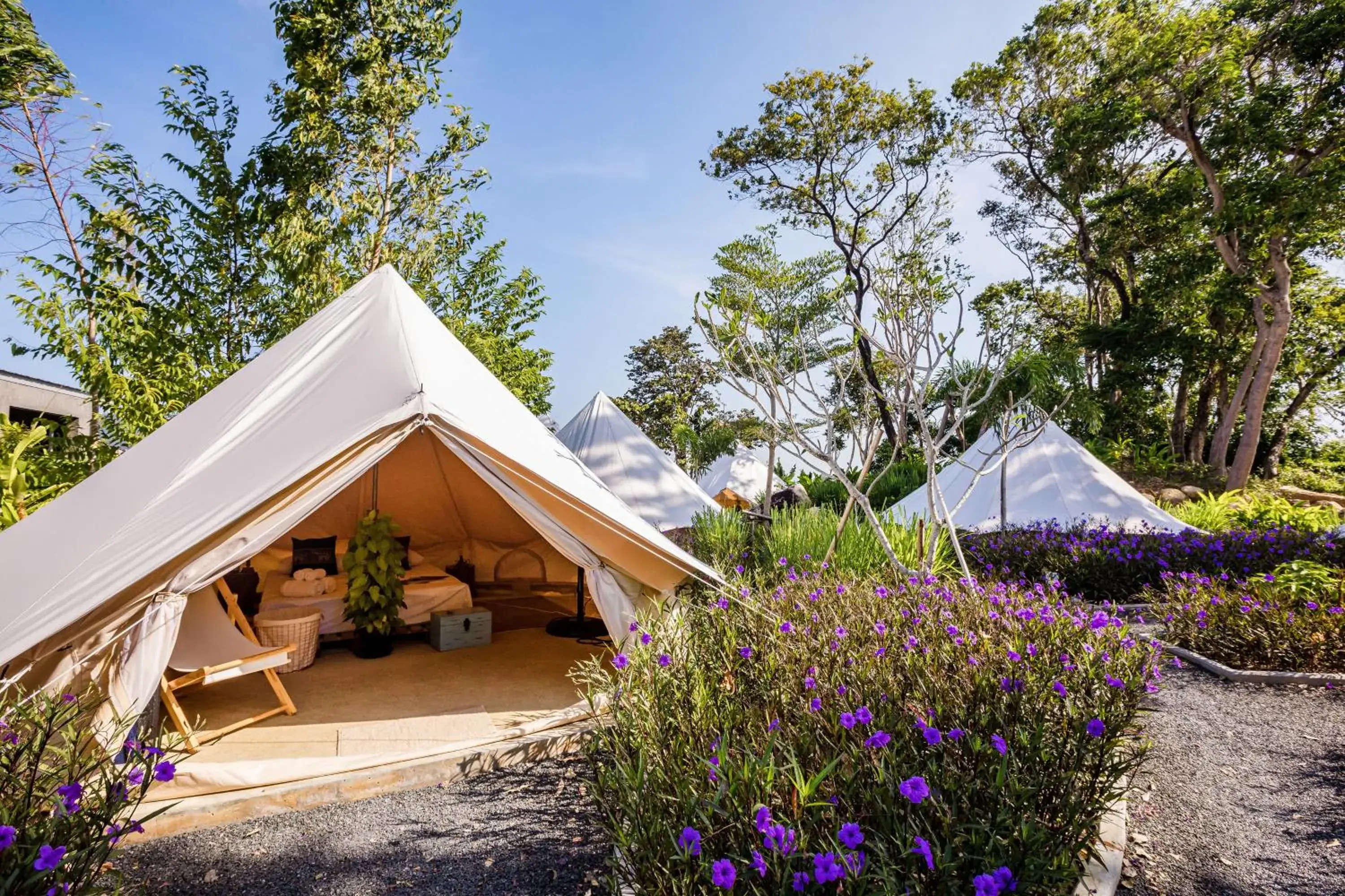 Garden view in Roost Glamping - SHA Certified Garden view in Roost Glamping - SHA Certified