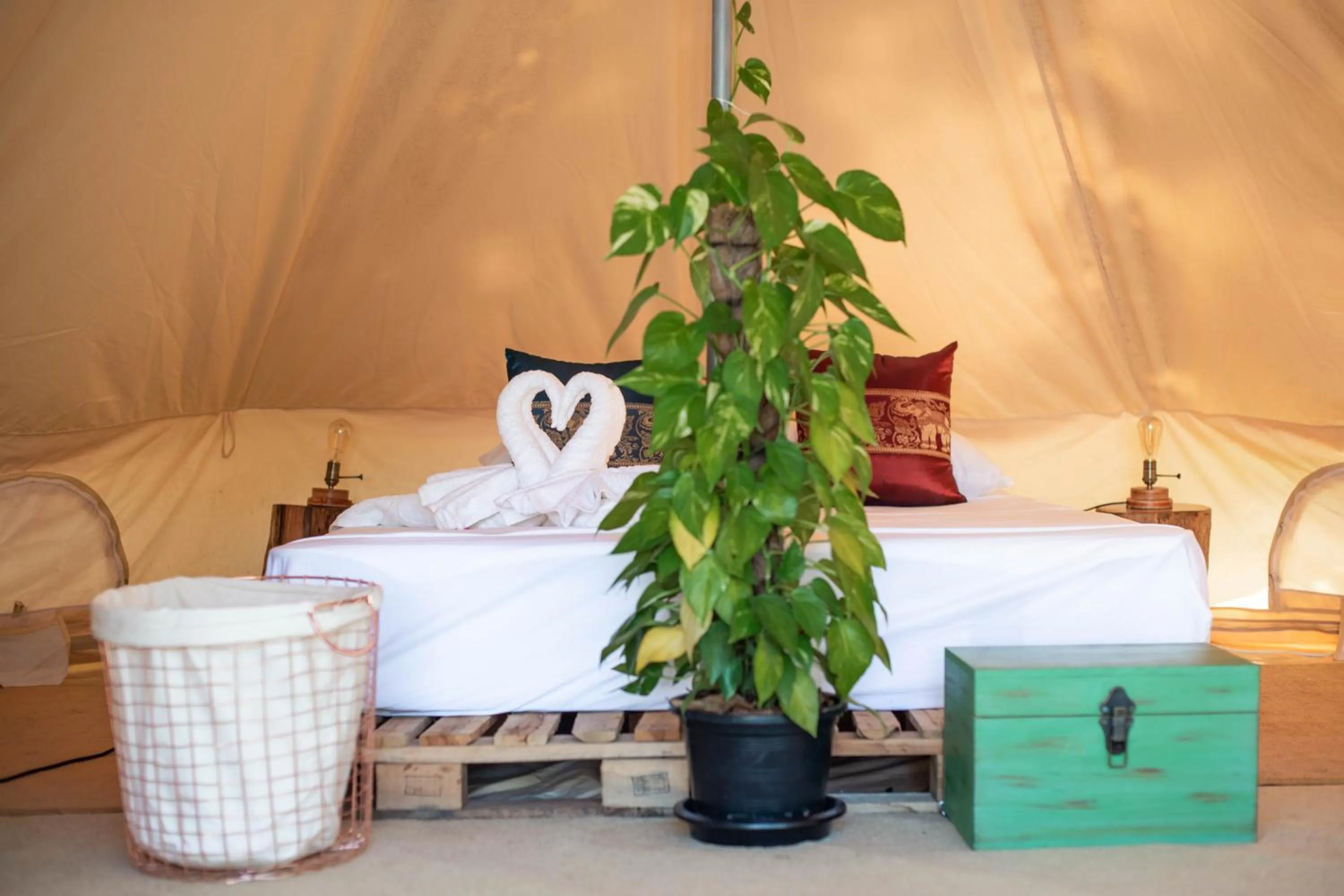 Bed in Roost Glamping - SHA Certified