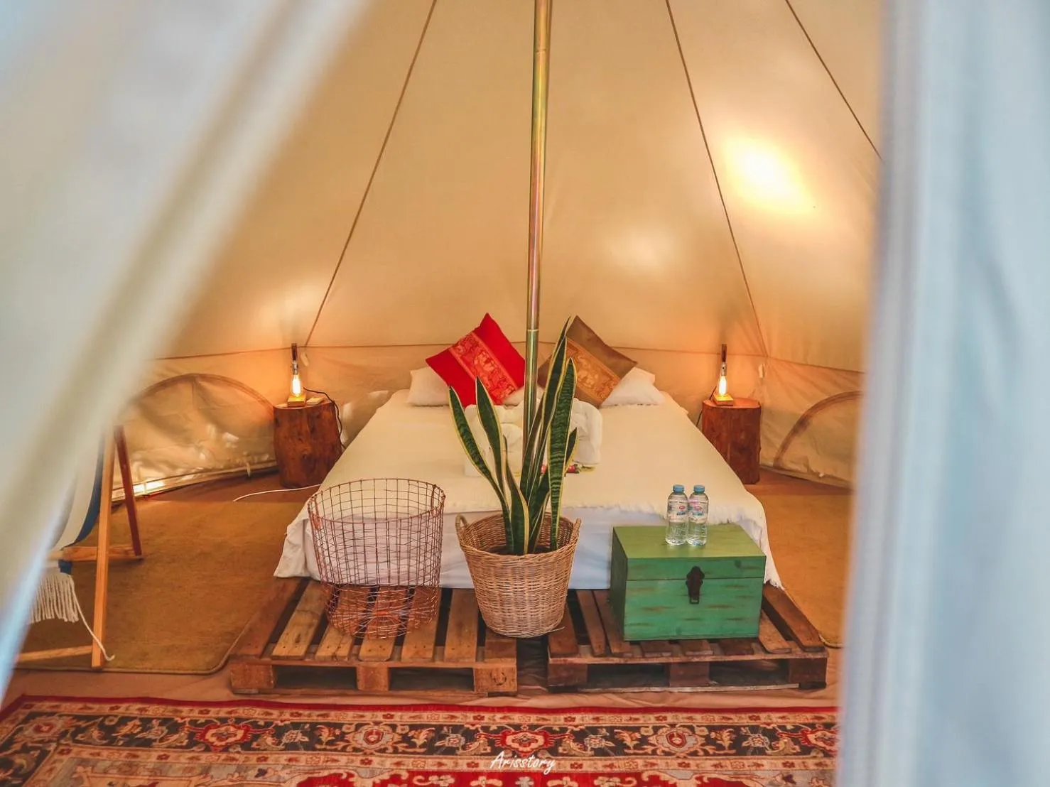 View (from property/room), Bed in Roost Glamping - SHA Certified