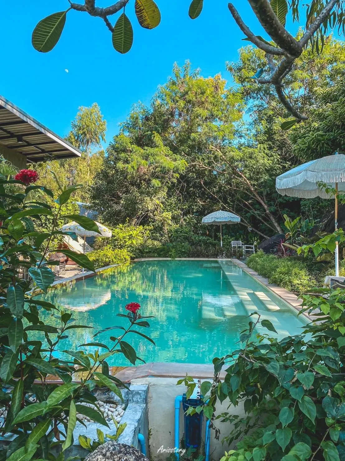 Swimming pool in Roost Glamping - SHA Certified