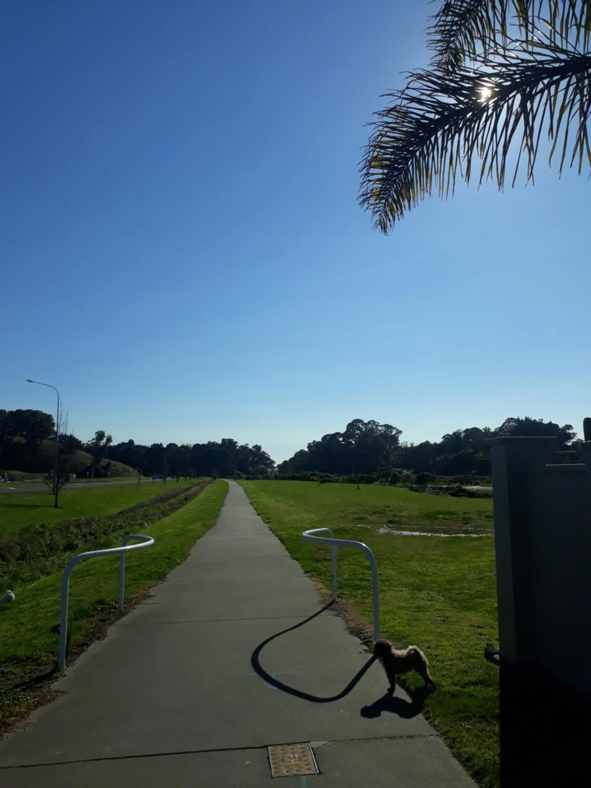 Hidden Gem in Oaklands