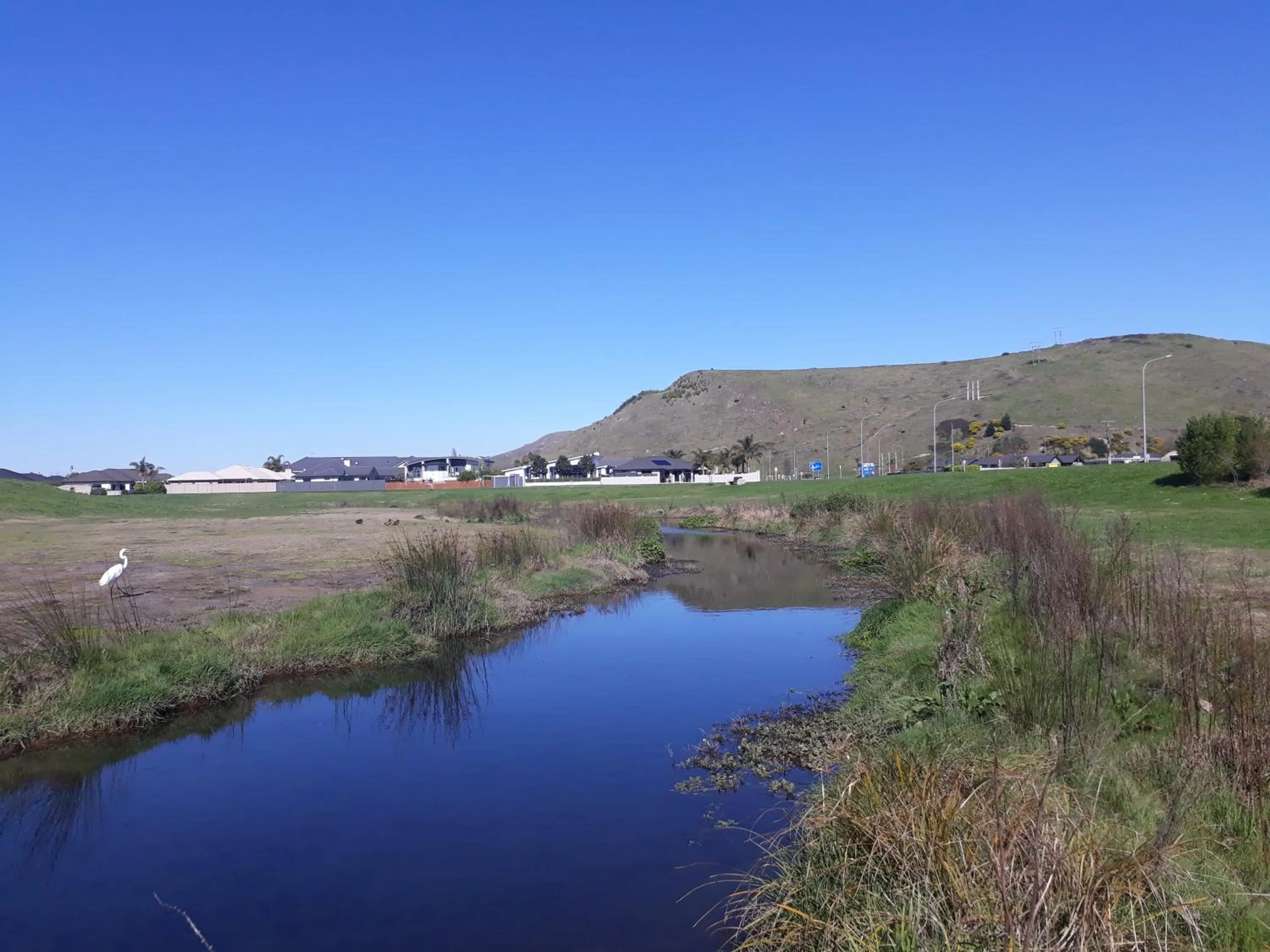 Hidden Gem in Oaklands