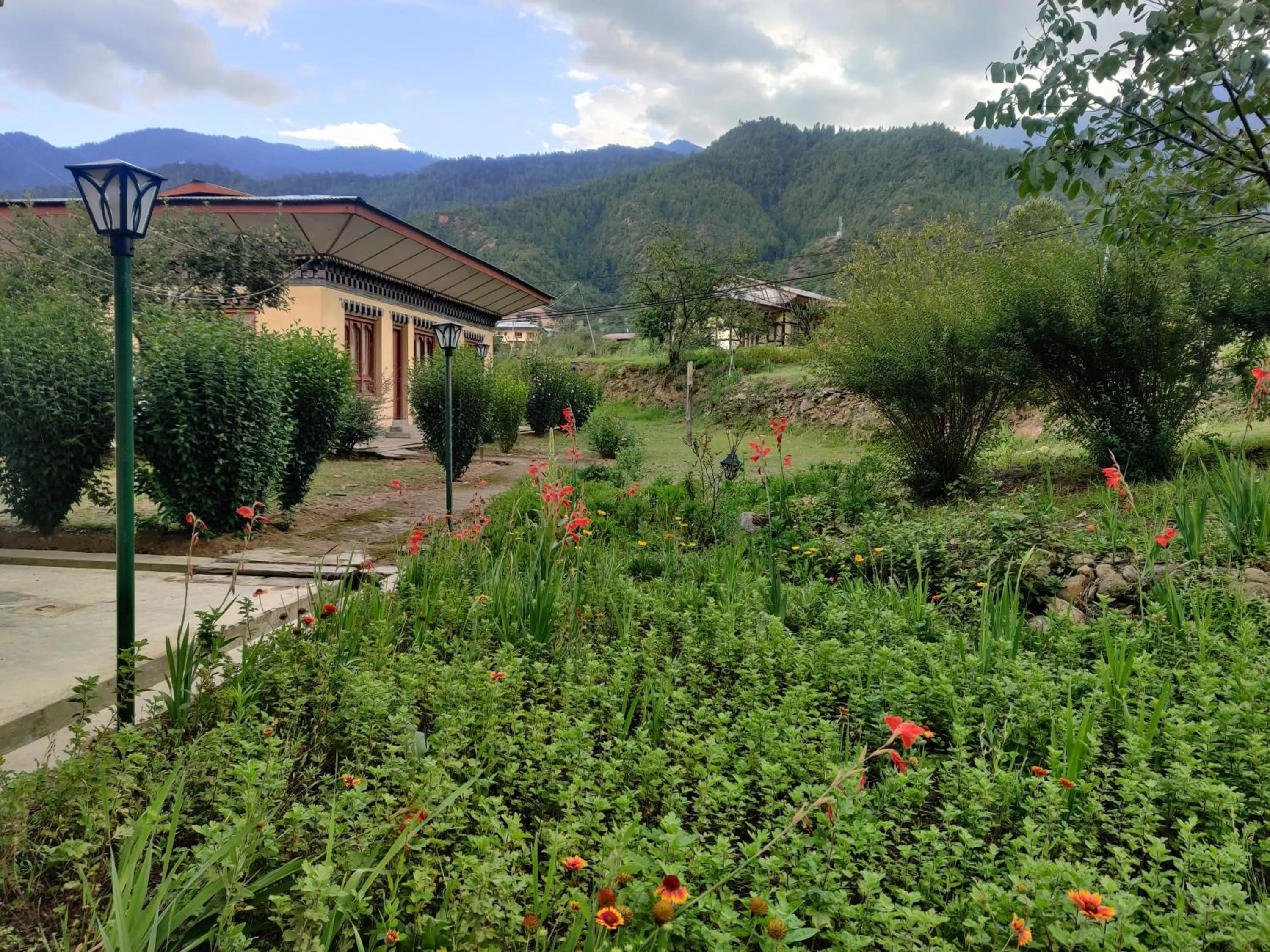Garden in Nirvana Lodge