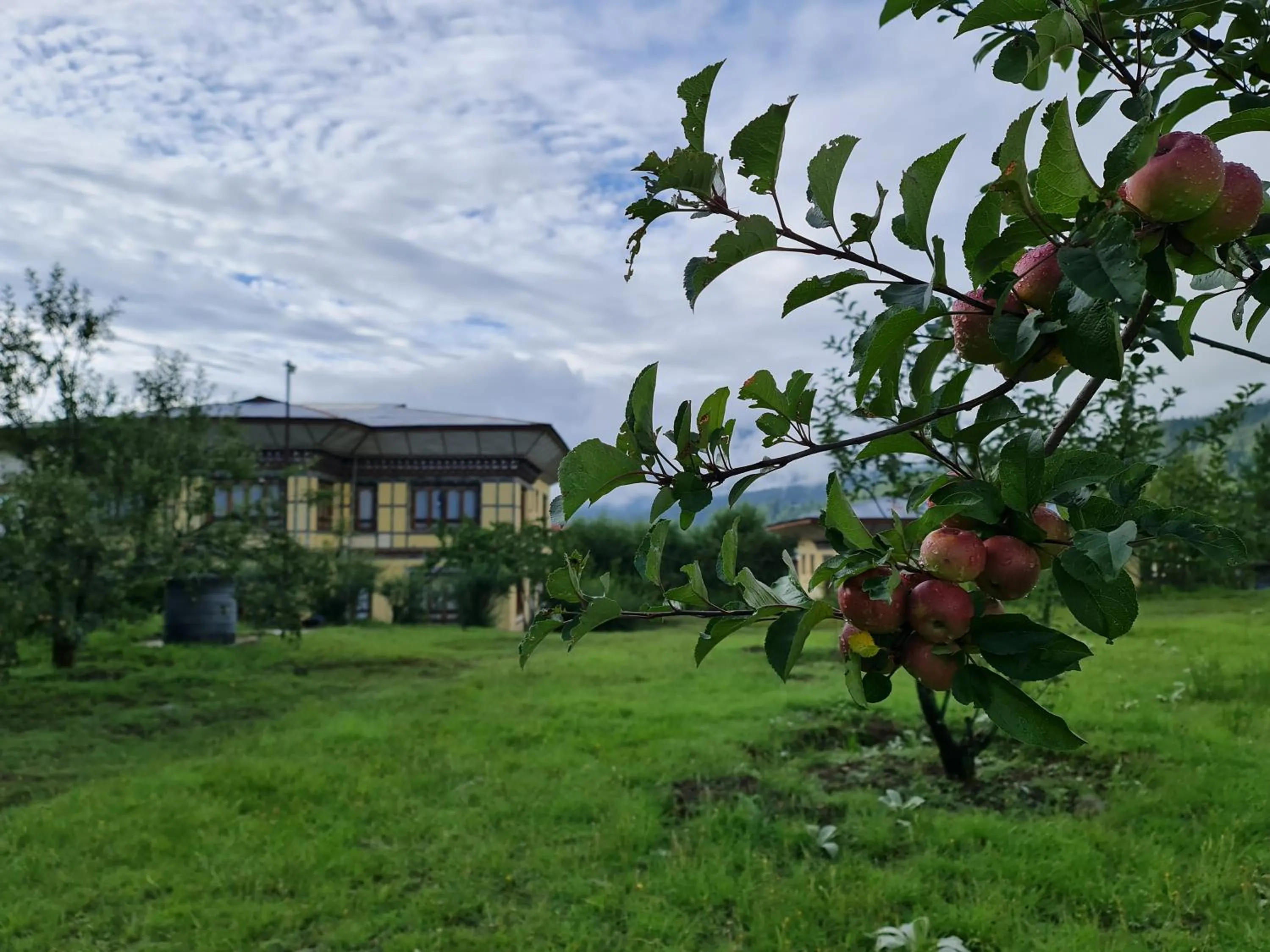 Garden in Nirvana Lodge