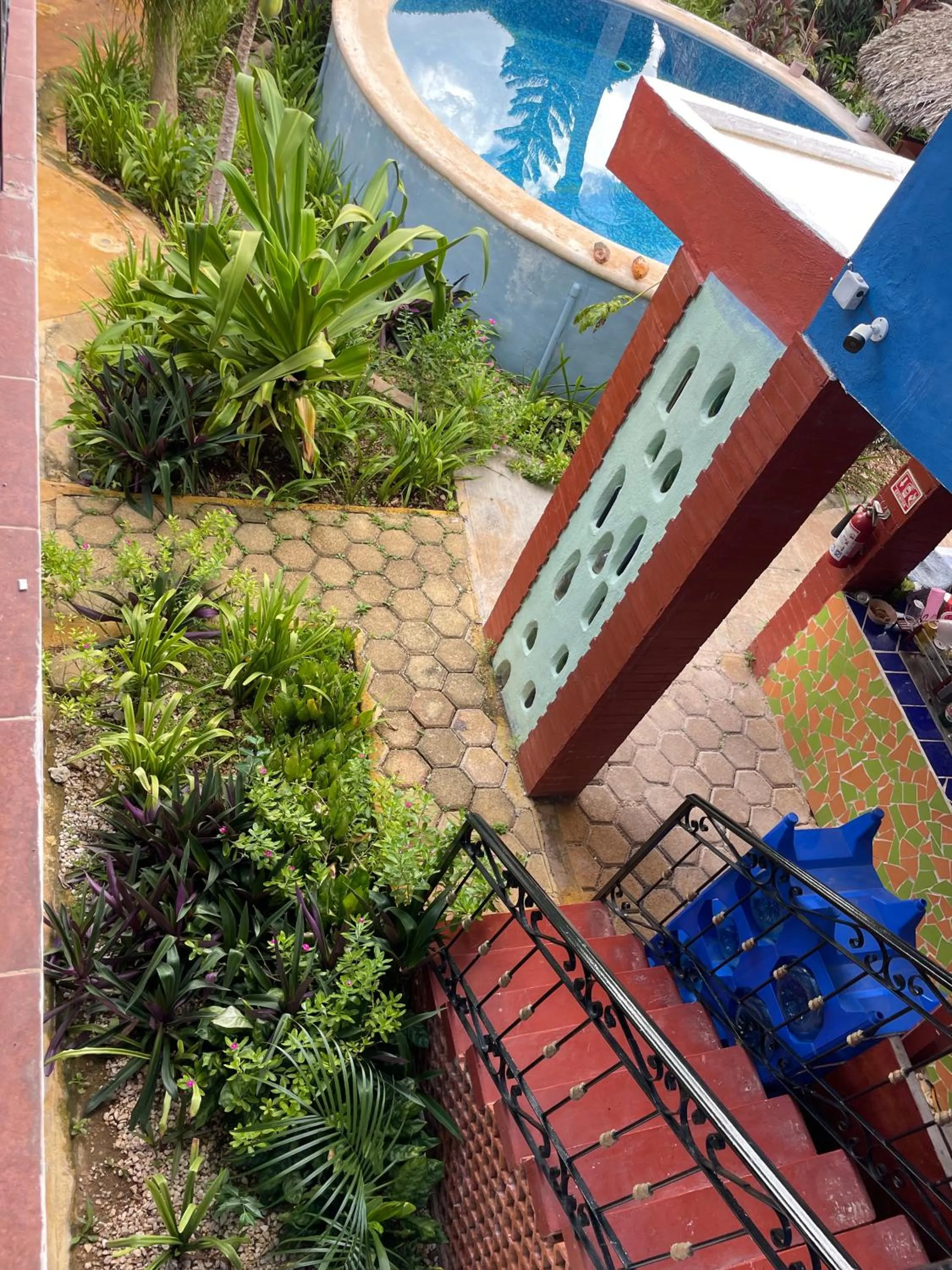 Spring in Casa Xu´unan