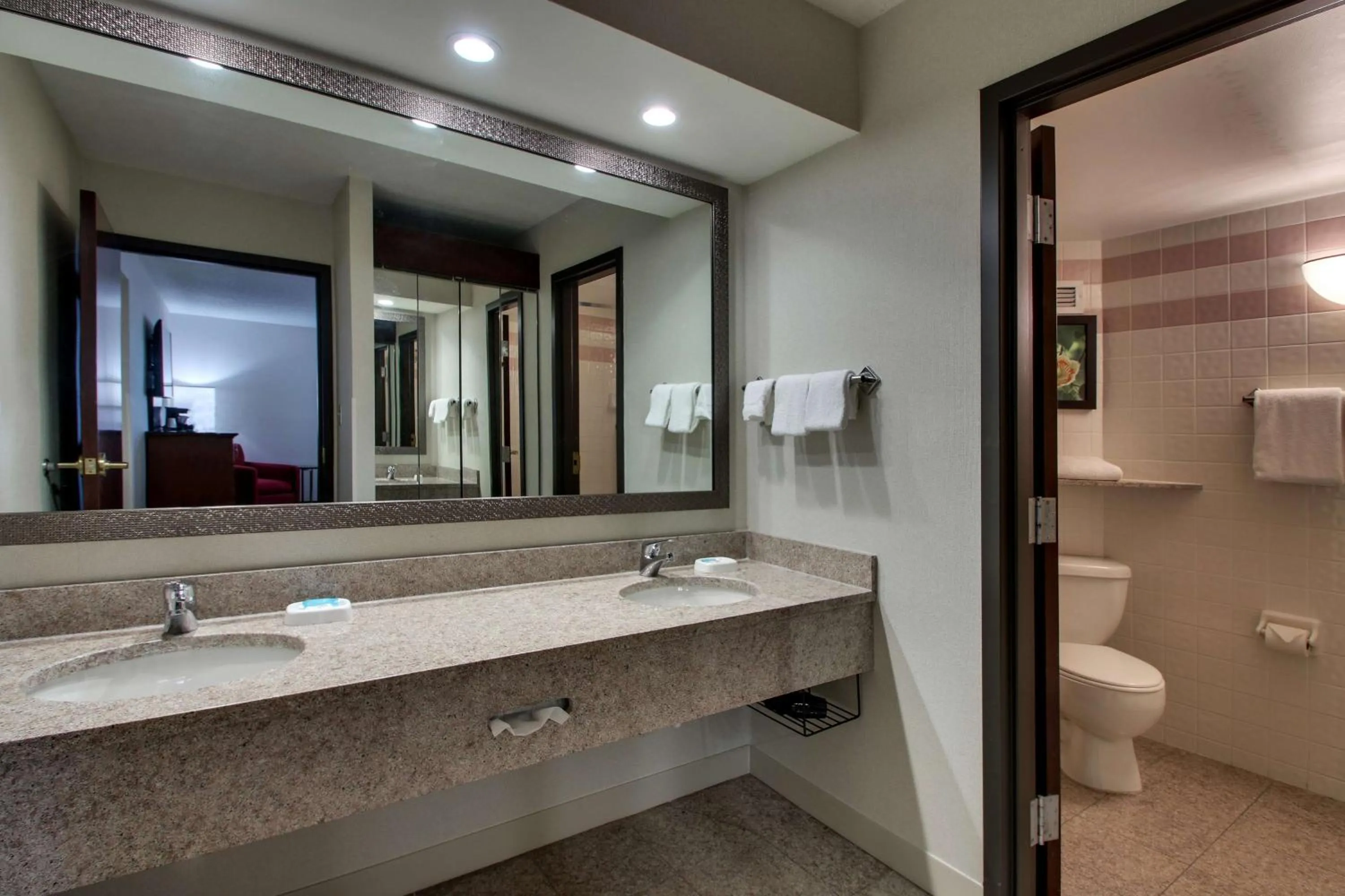 Bathroom in Drury Inn & Suites Evansville East