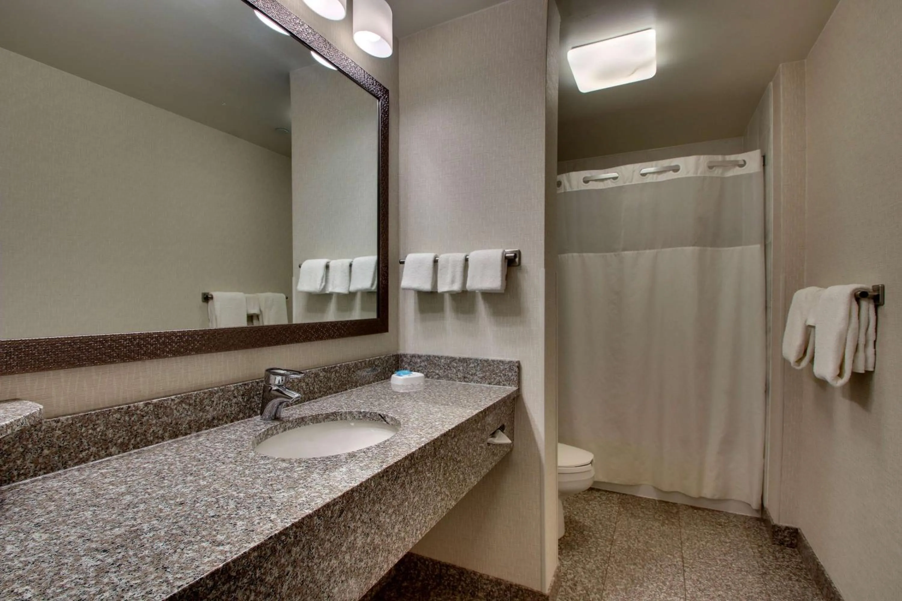 Bathroom in Drury Inn & Suites Findlay
