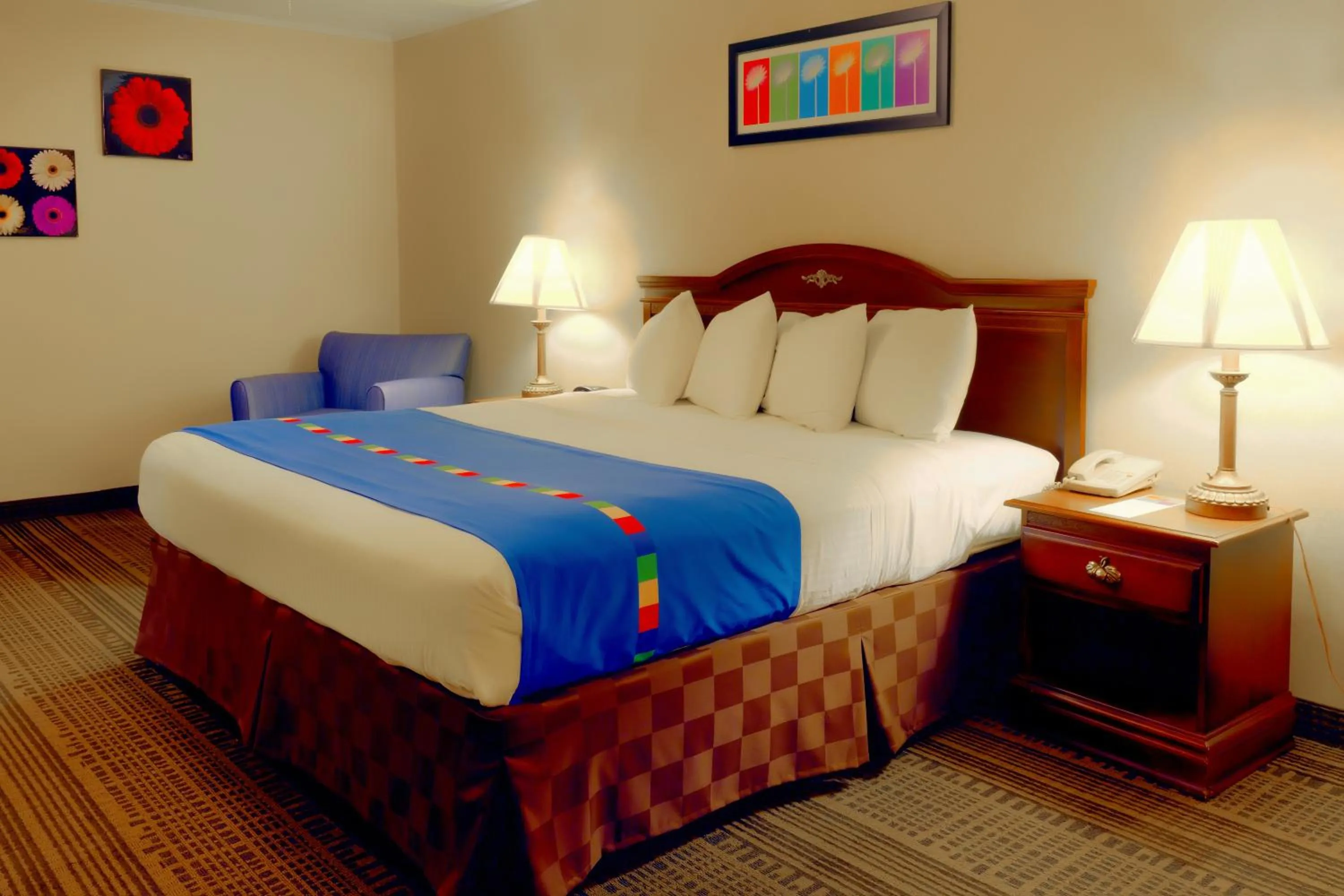 Guests, Bed in Park Inn By Radisson Sharon