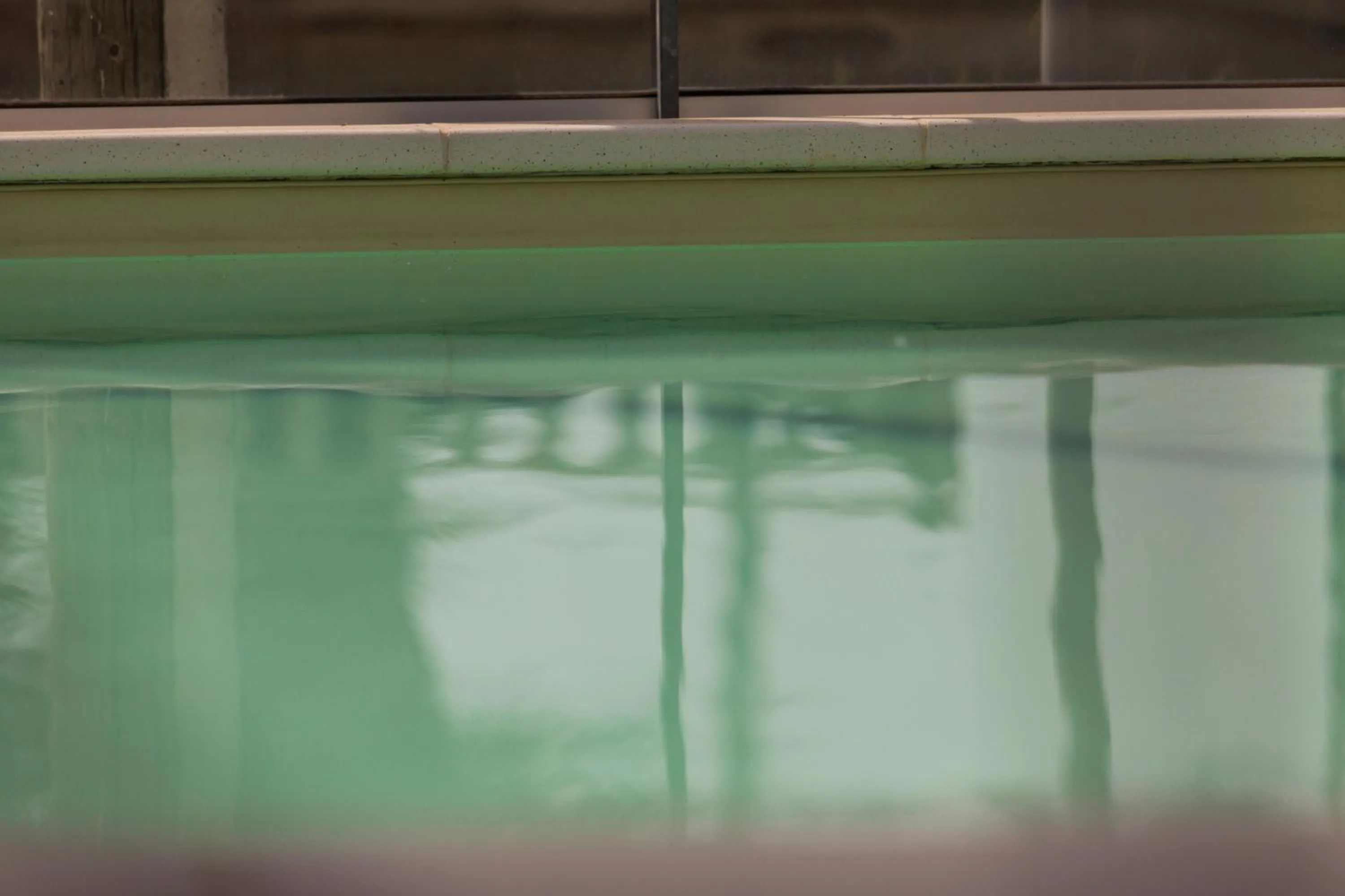 Swimming pool in Benvenuti in puglia