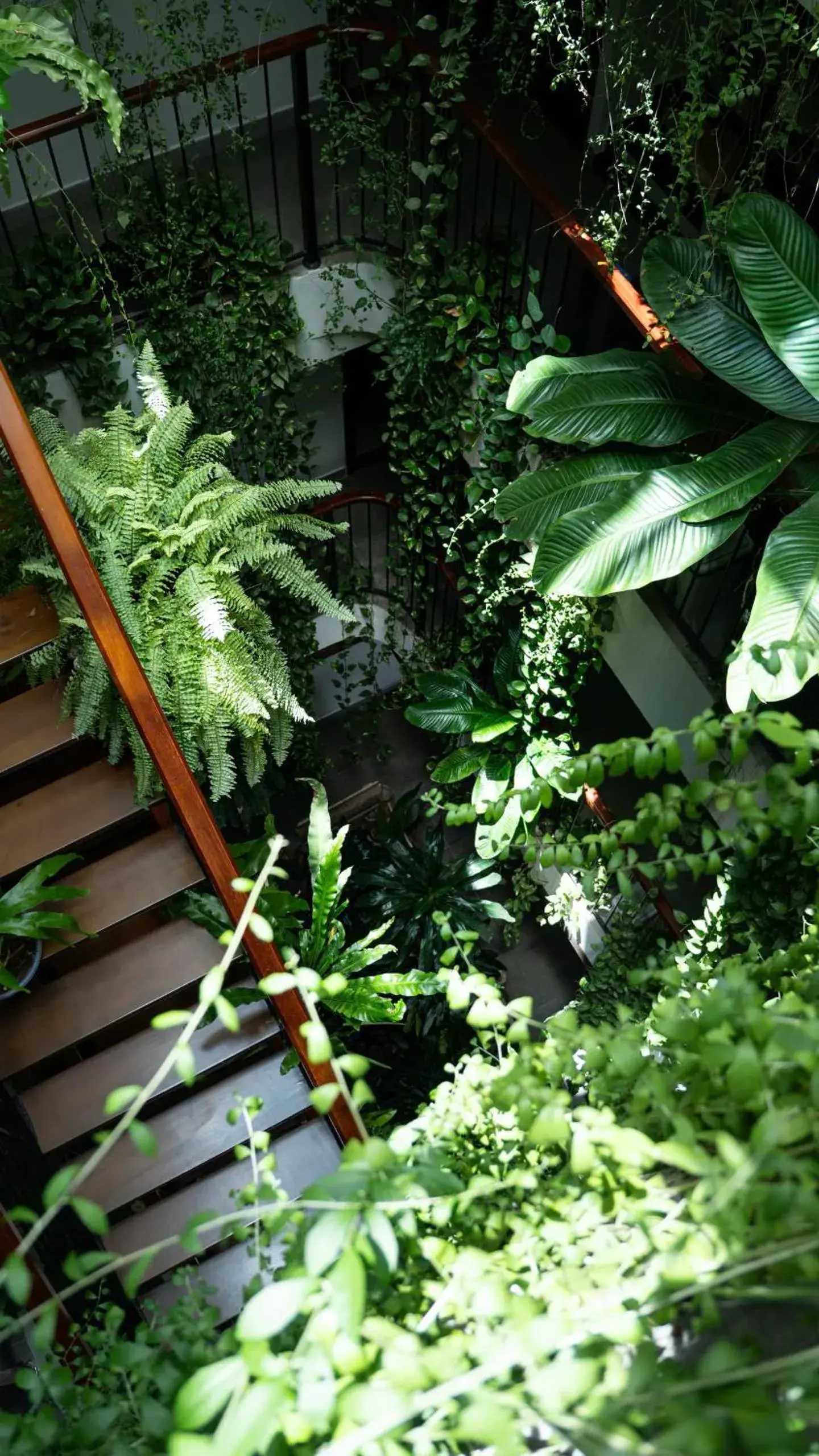 Property building in Nicobar Con Dao Hotel Property building in Nicobar Con Dao Hotel